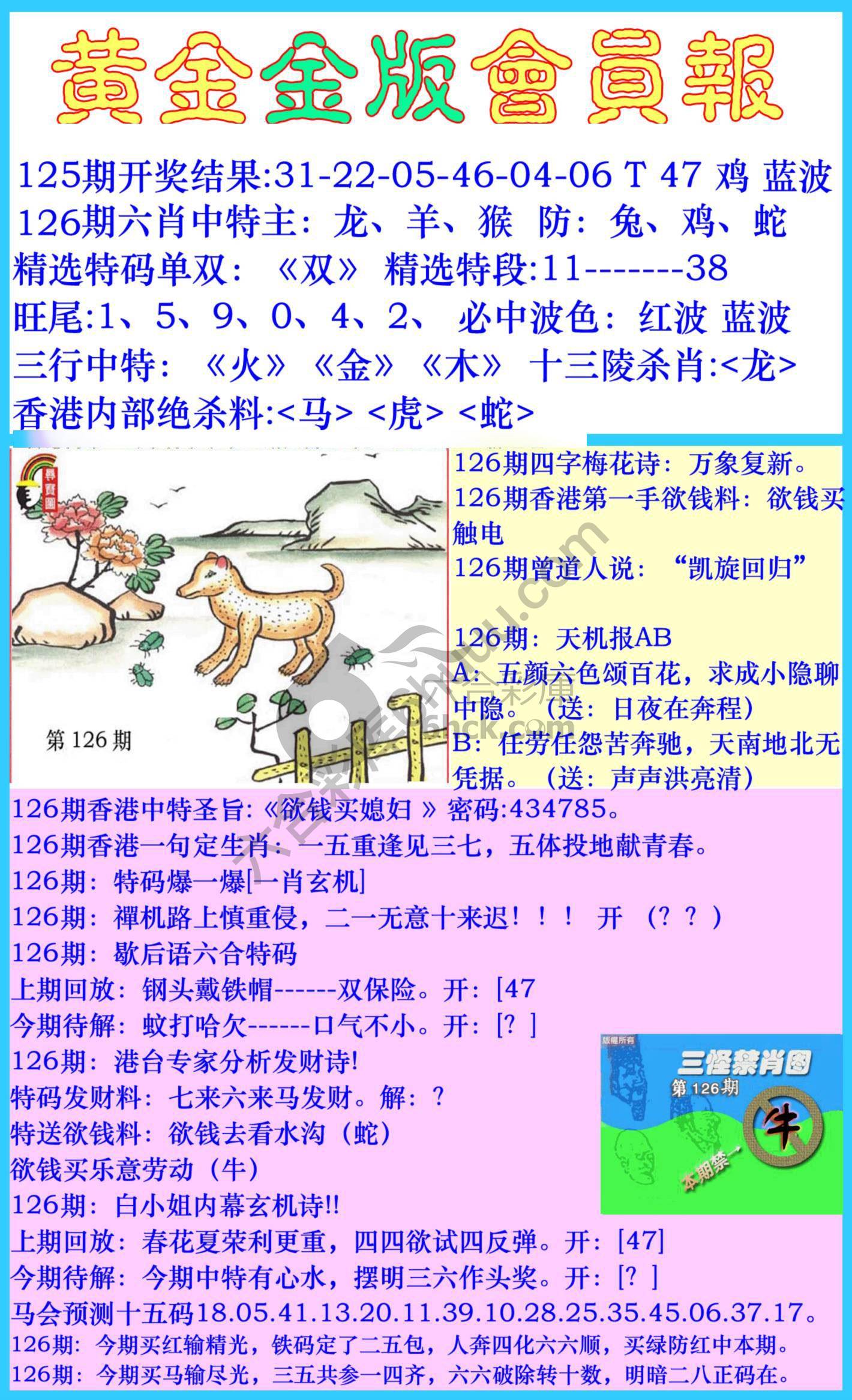 黄金金版会员报