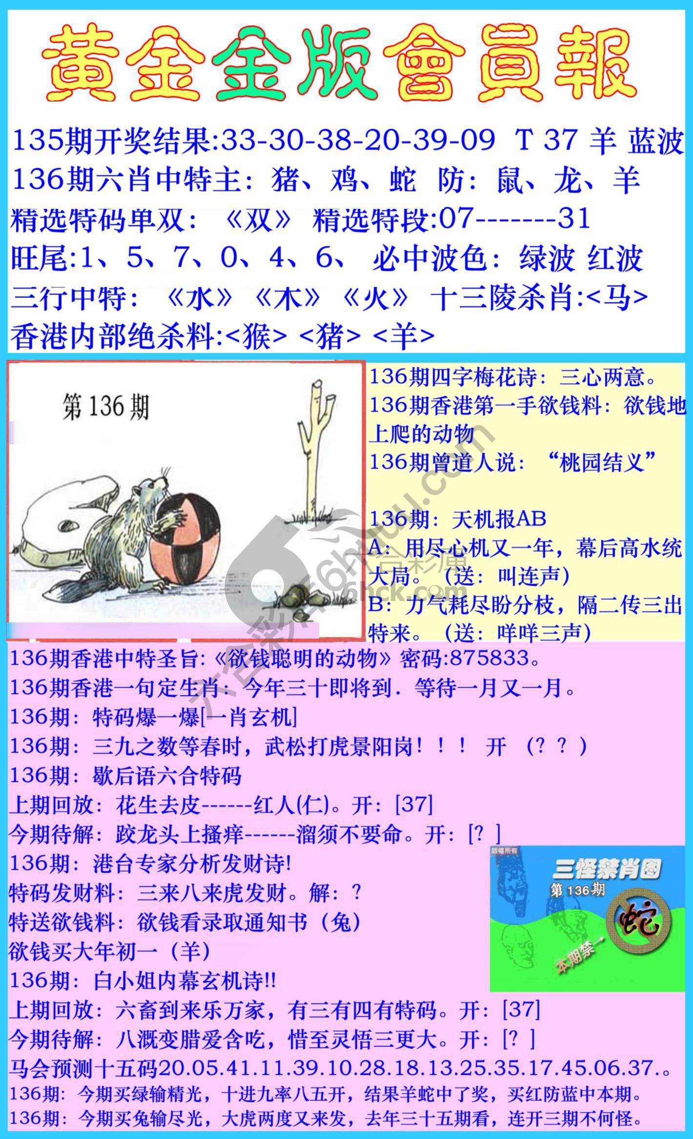 黄金金版会员报