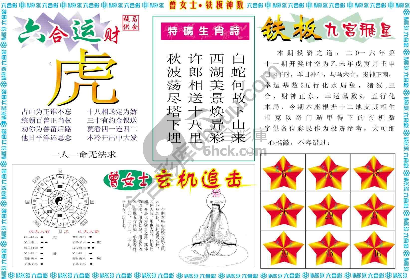 曾女士铁板神数