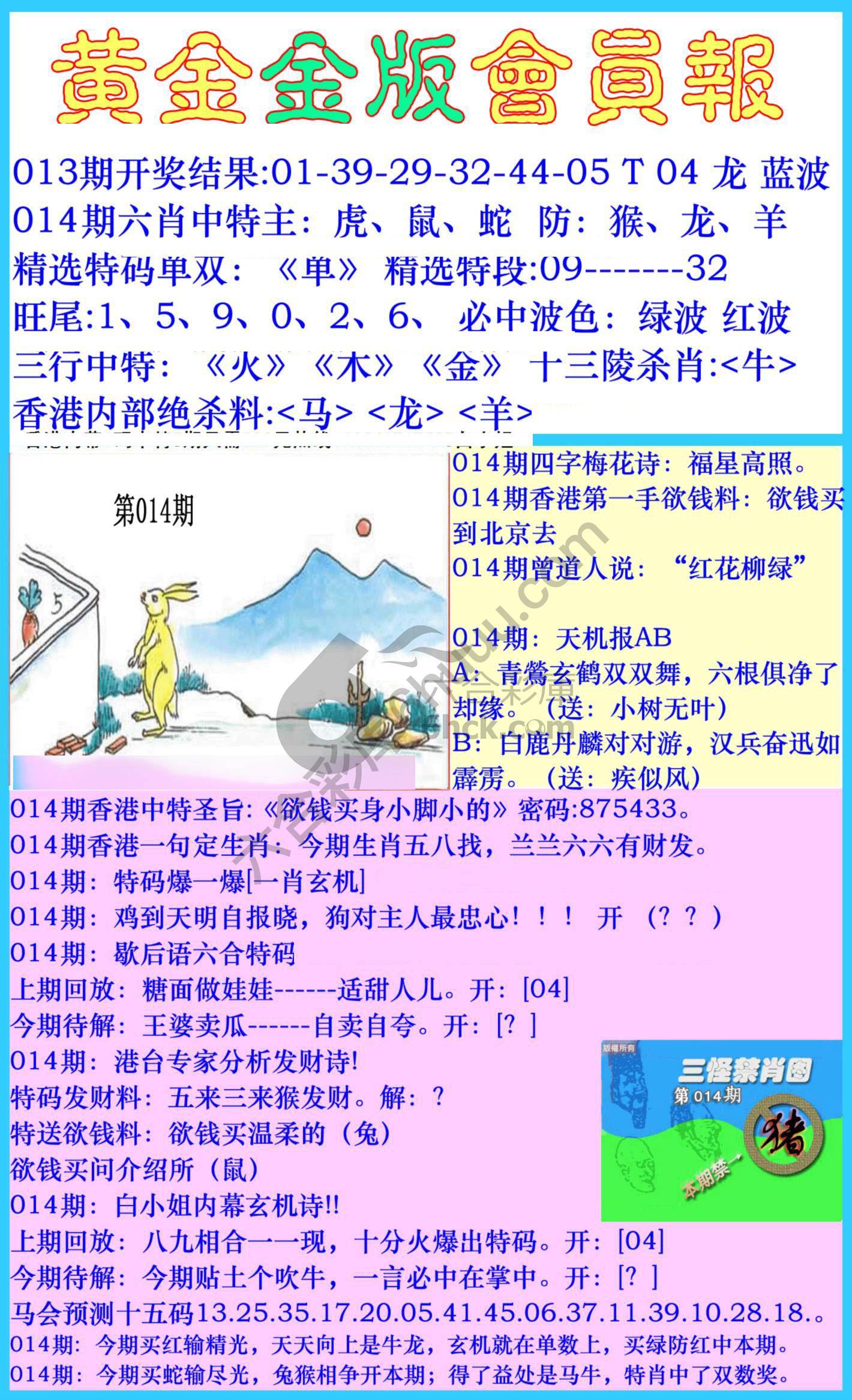 黄金金版会员报