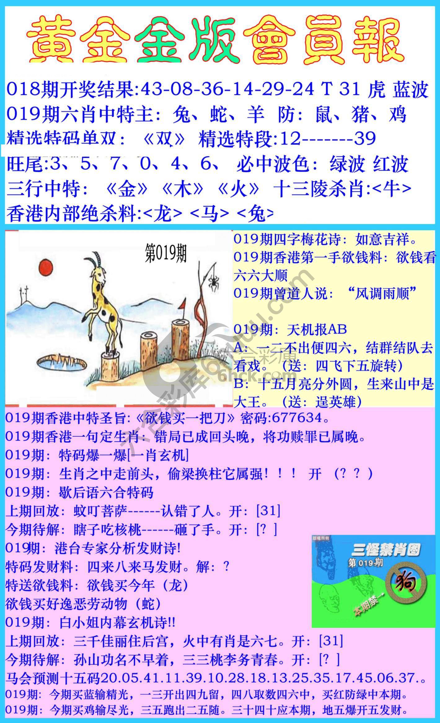 黄金金版会员报