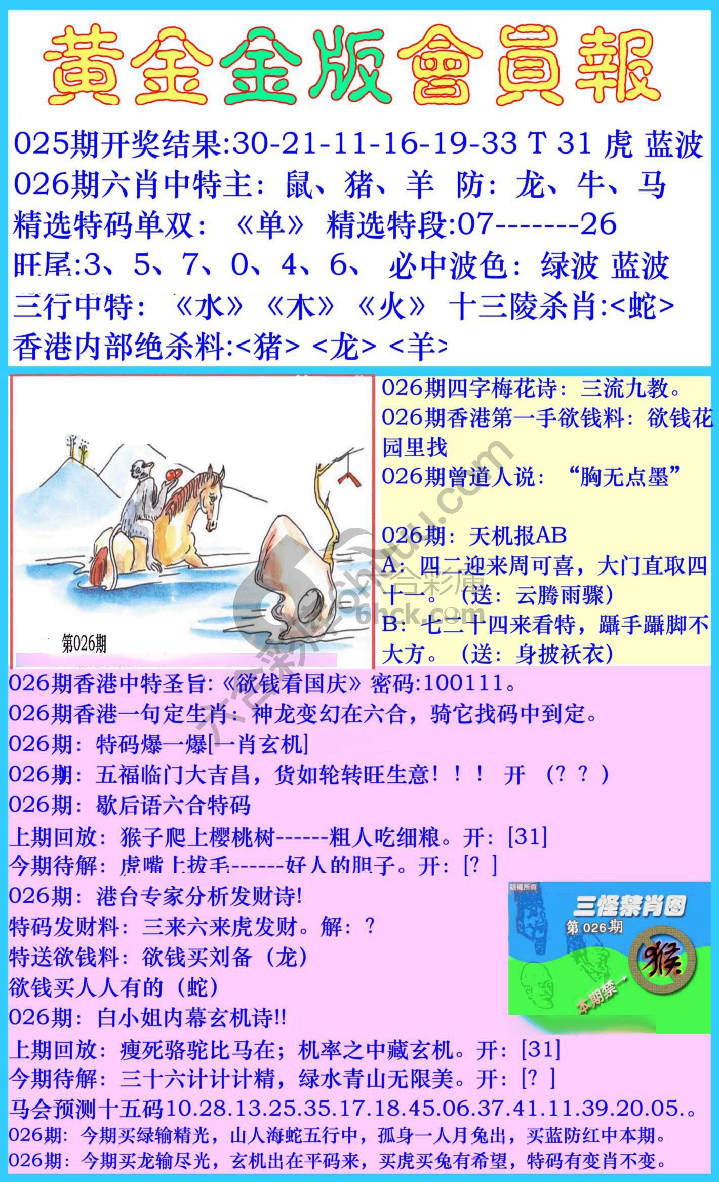 黄金金版会员报