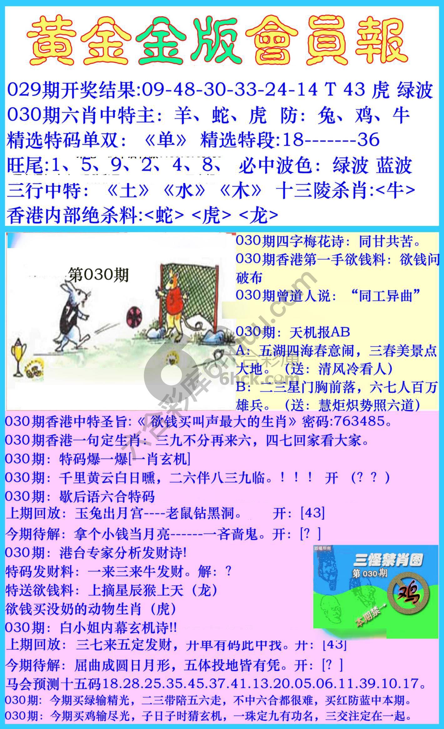 黄金金版会员报