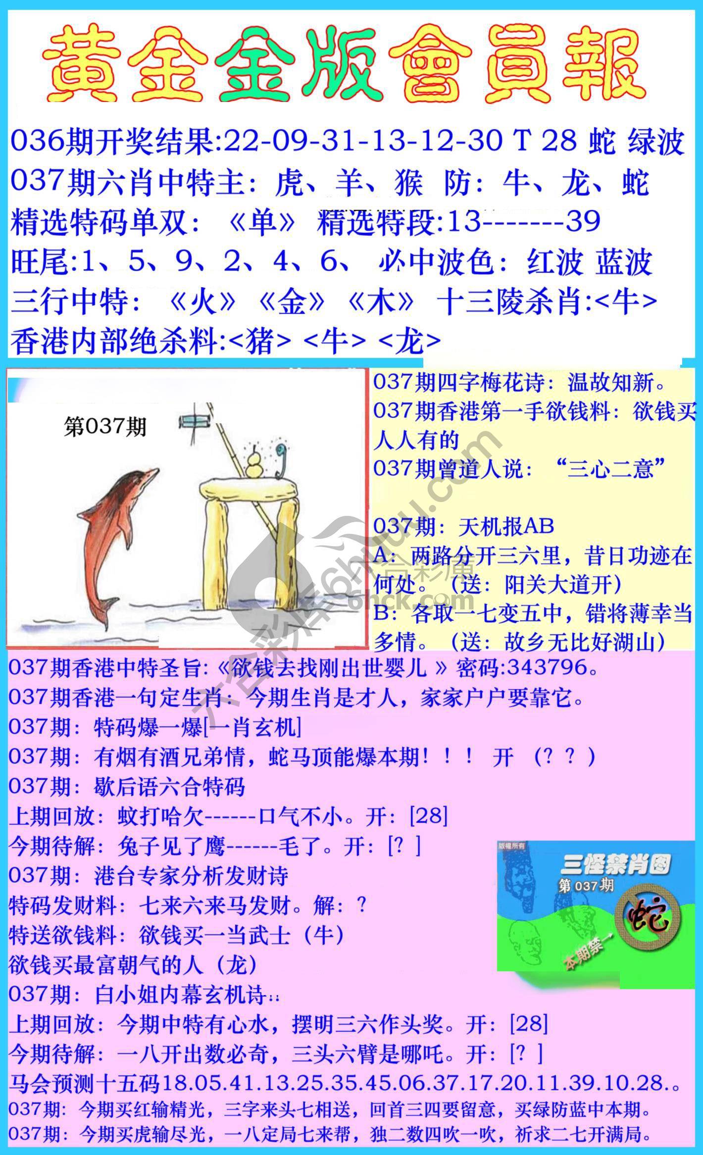 黄金金版会员报