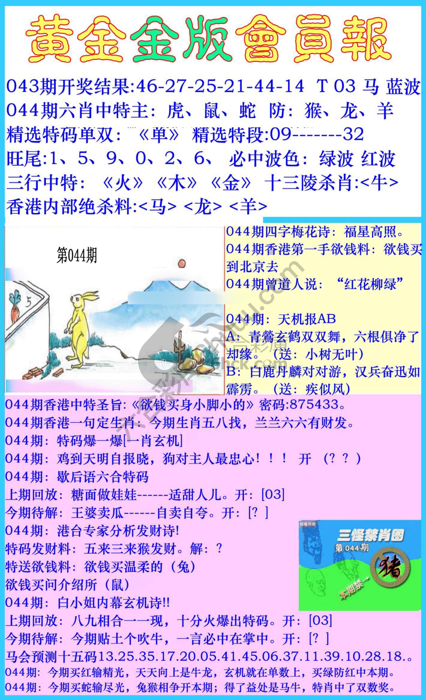 黄金金版会员报