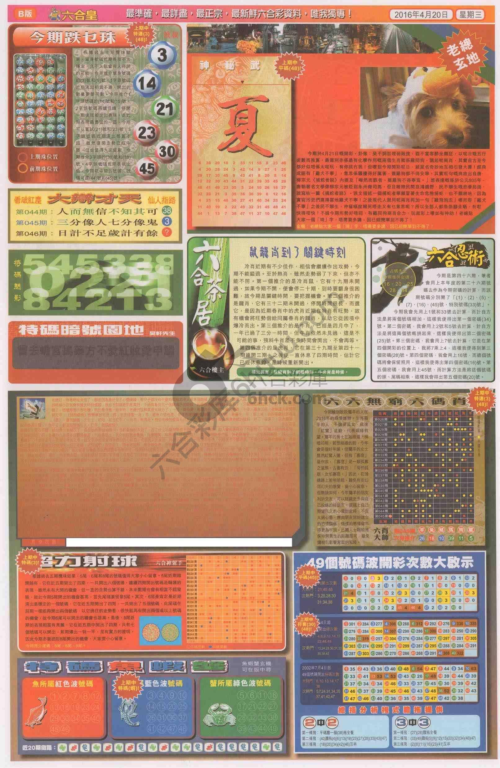 六合皇