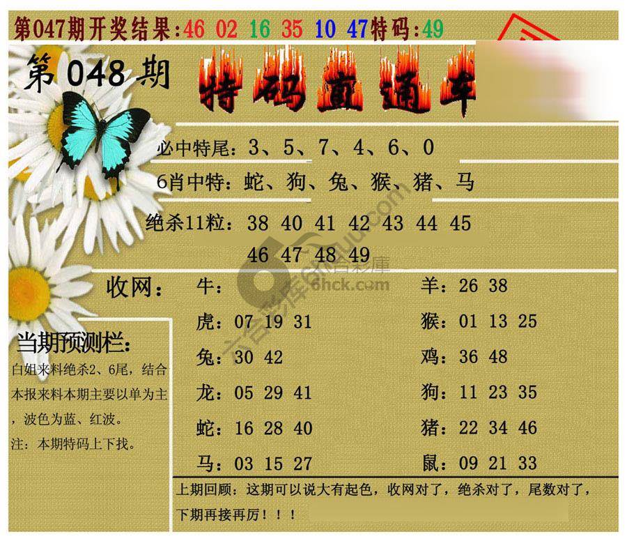 特码直通车