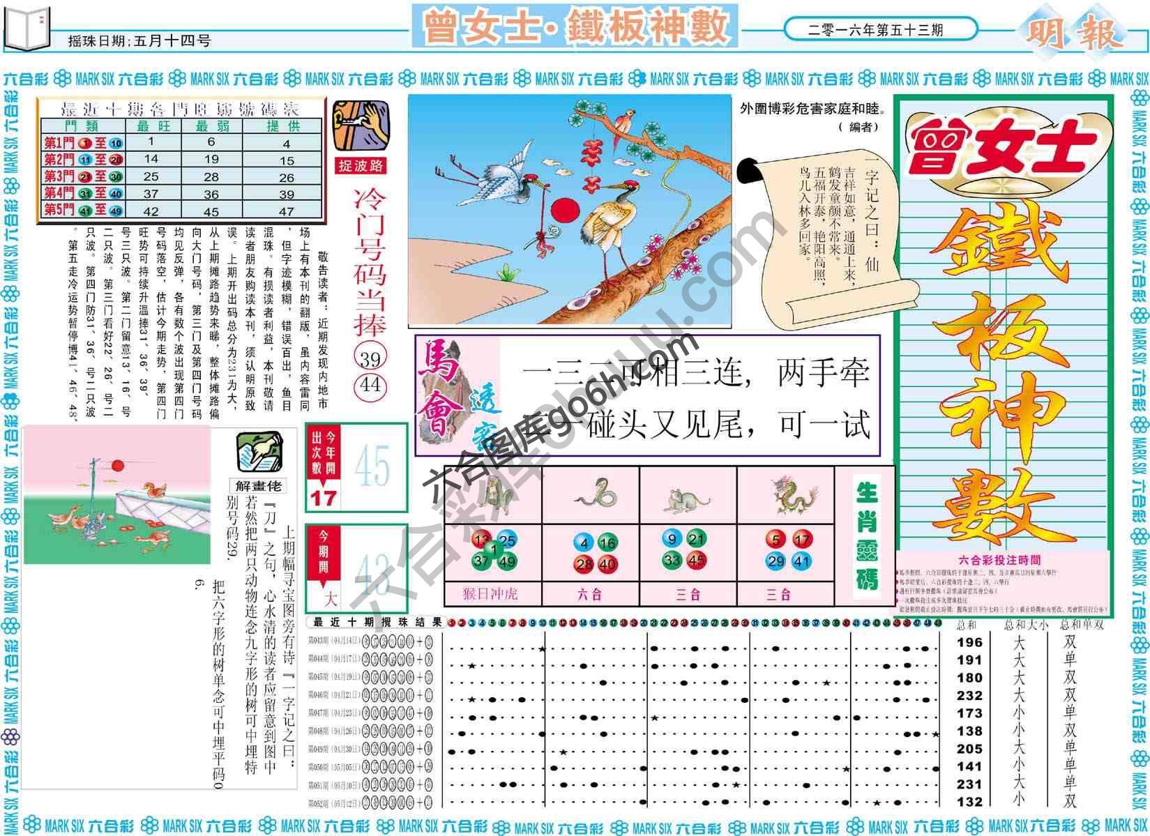 曾女士铁板神数