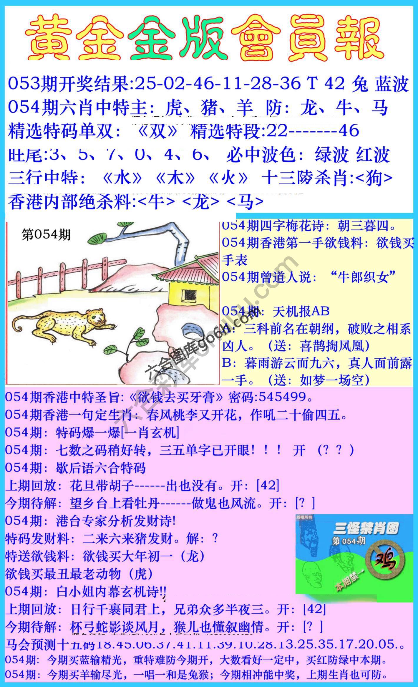 黄金金版会员报