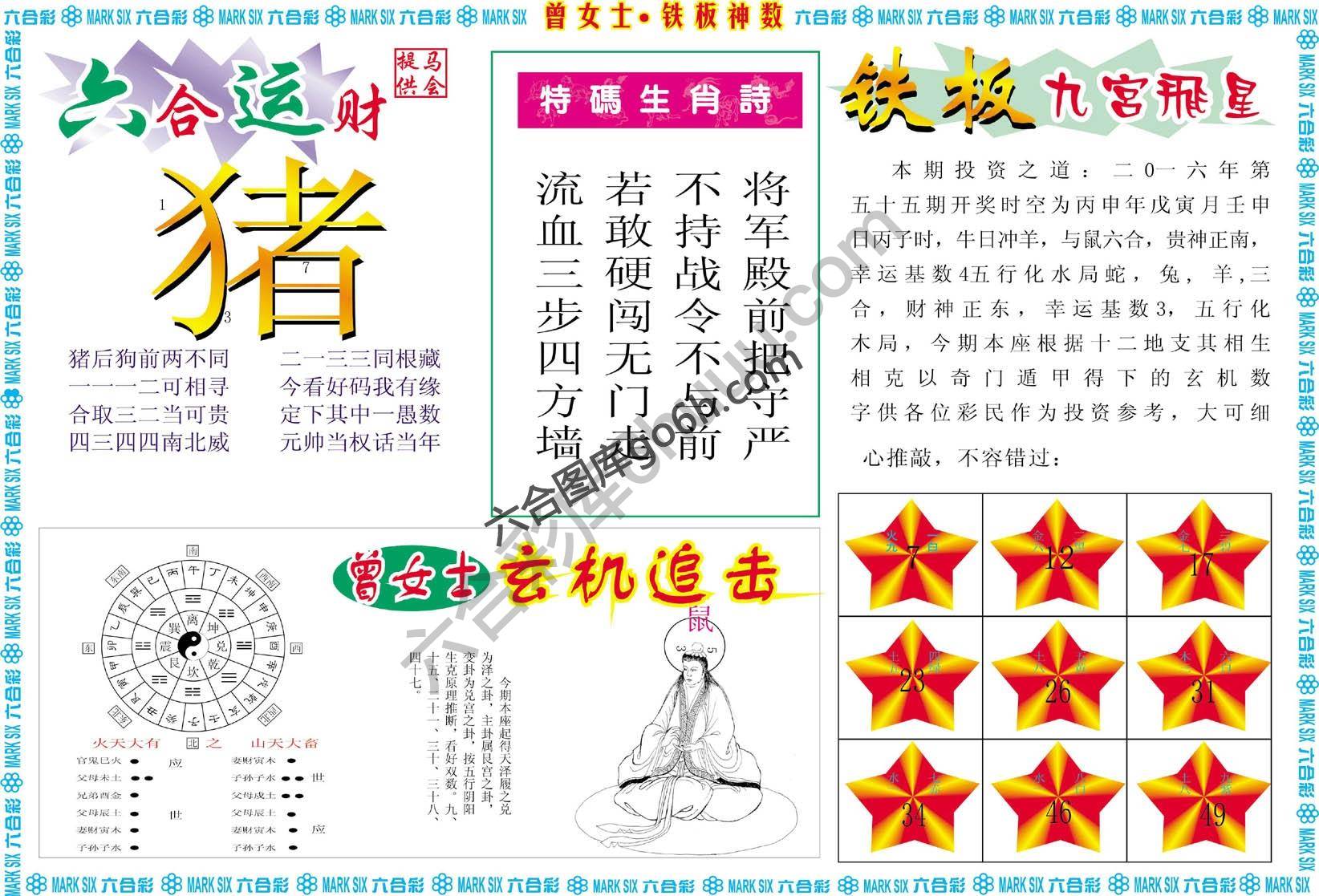 曾女士铁板神数