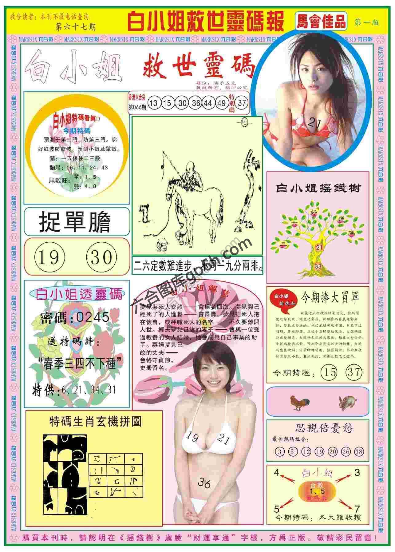 白小姐救世灵码报