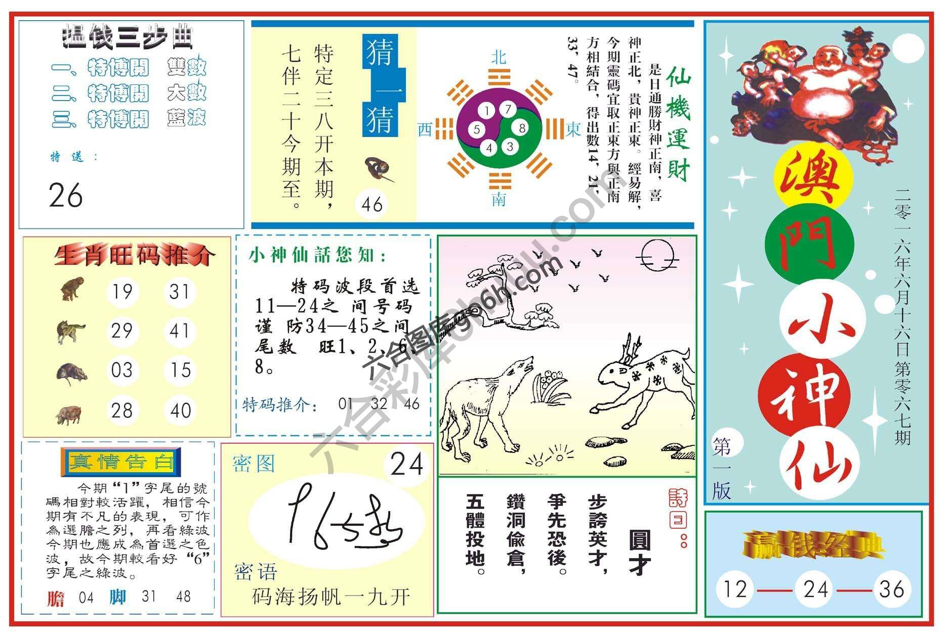 白小姐特码消息