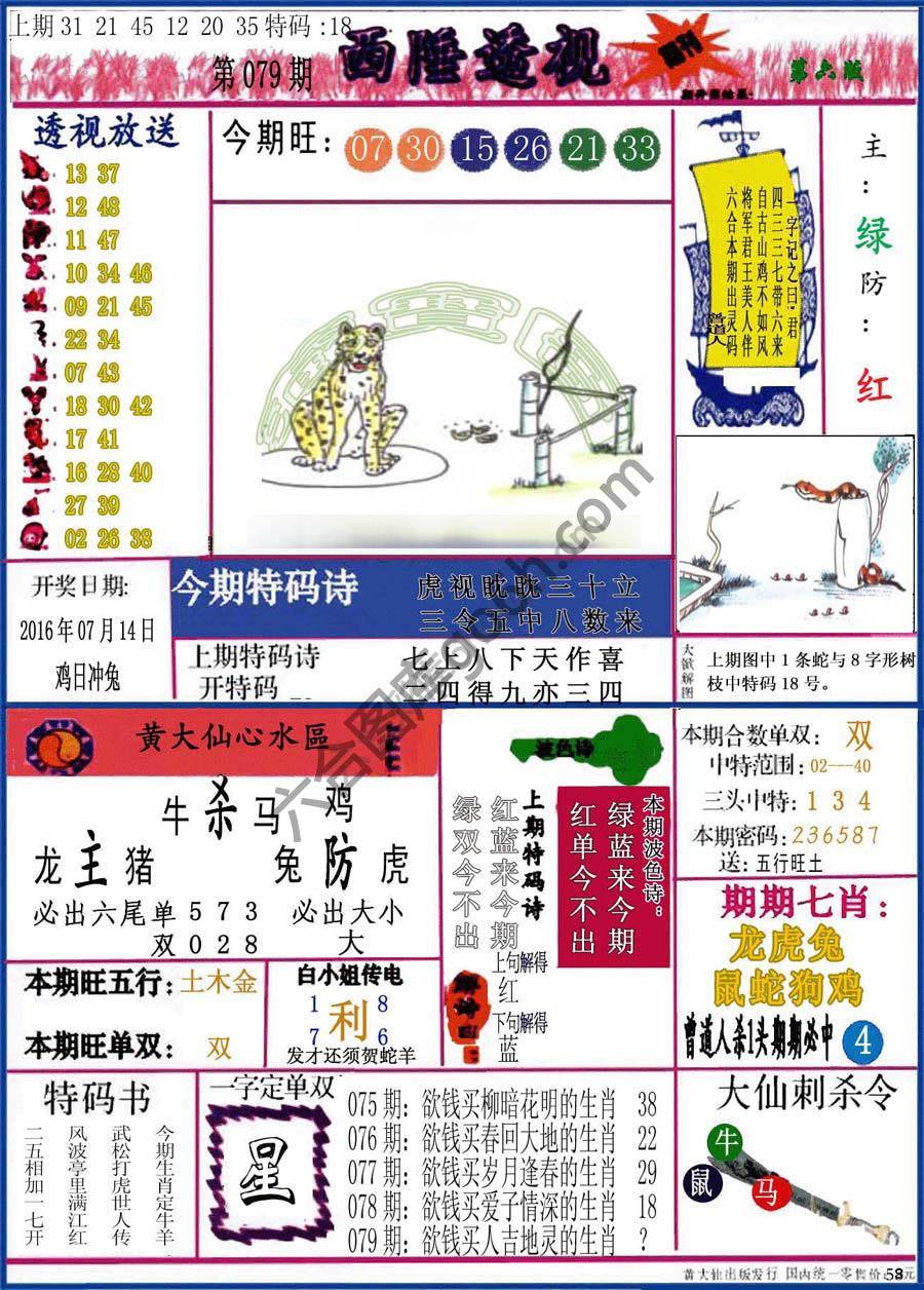 西陲透视（正版）