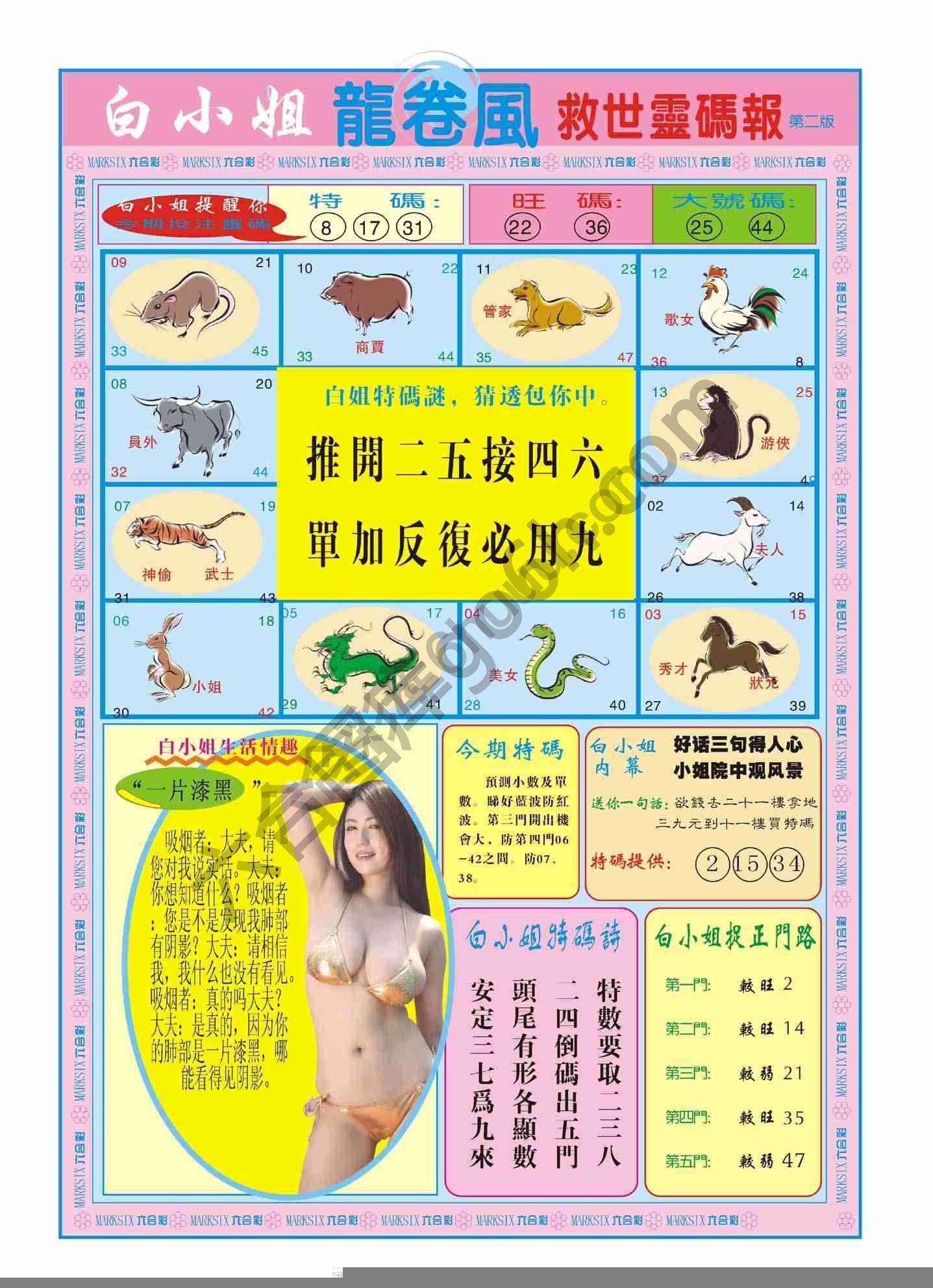 白小姐救世灵码报