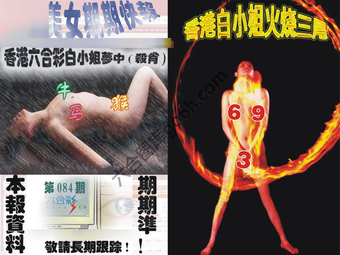 环球美女特码报