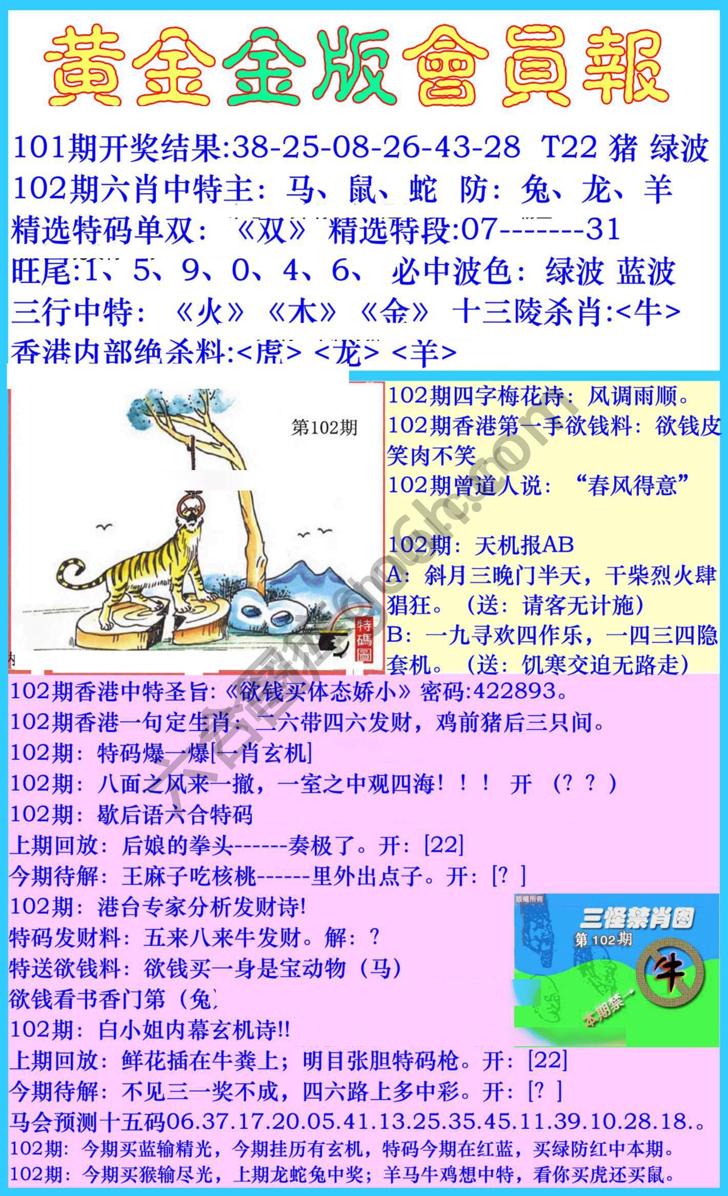 黄金金版会员报