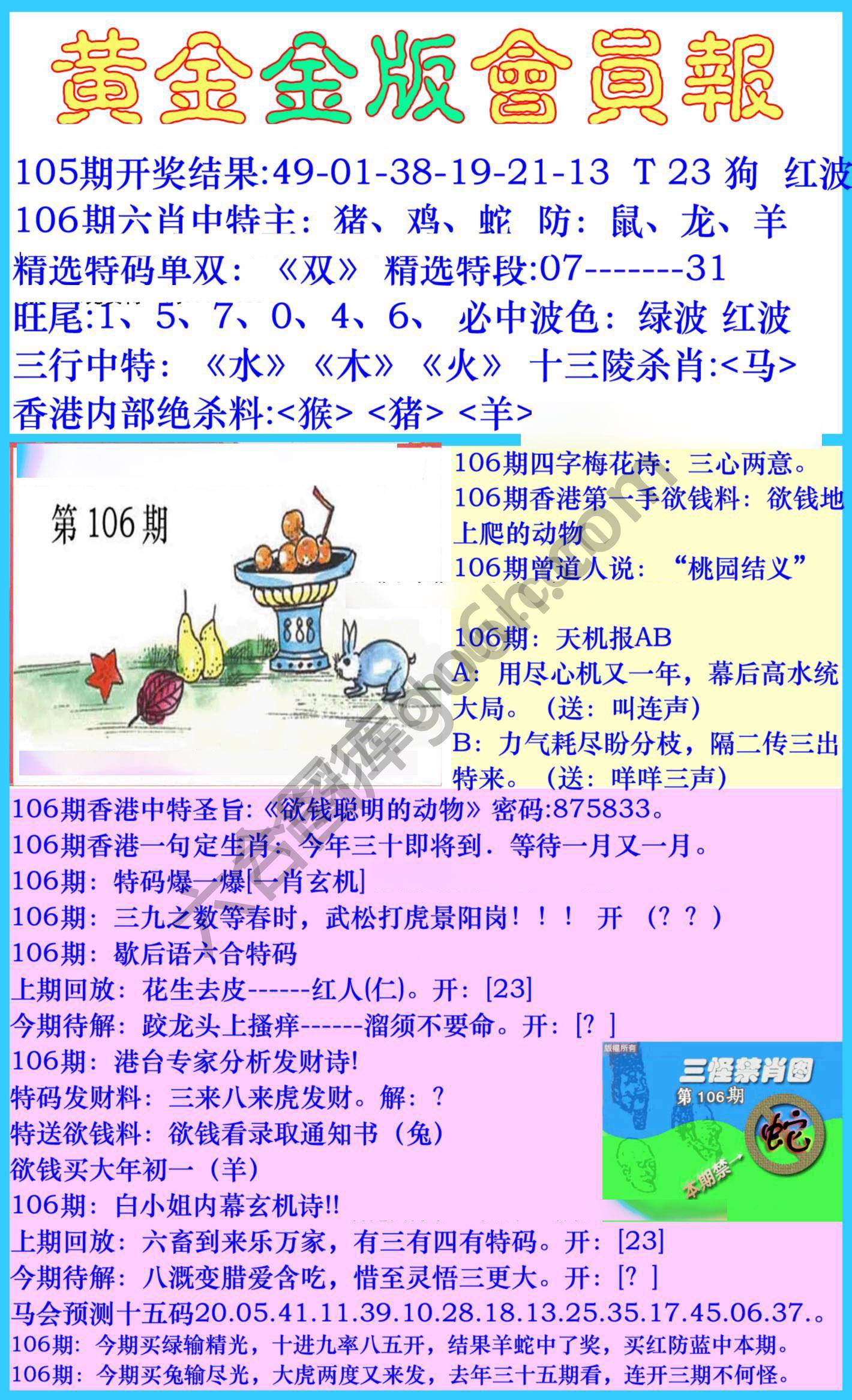 黄金金版会员报