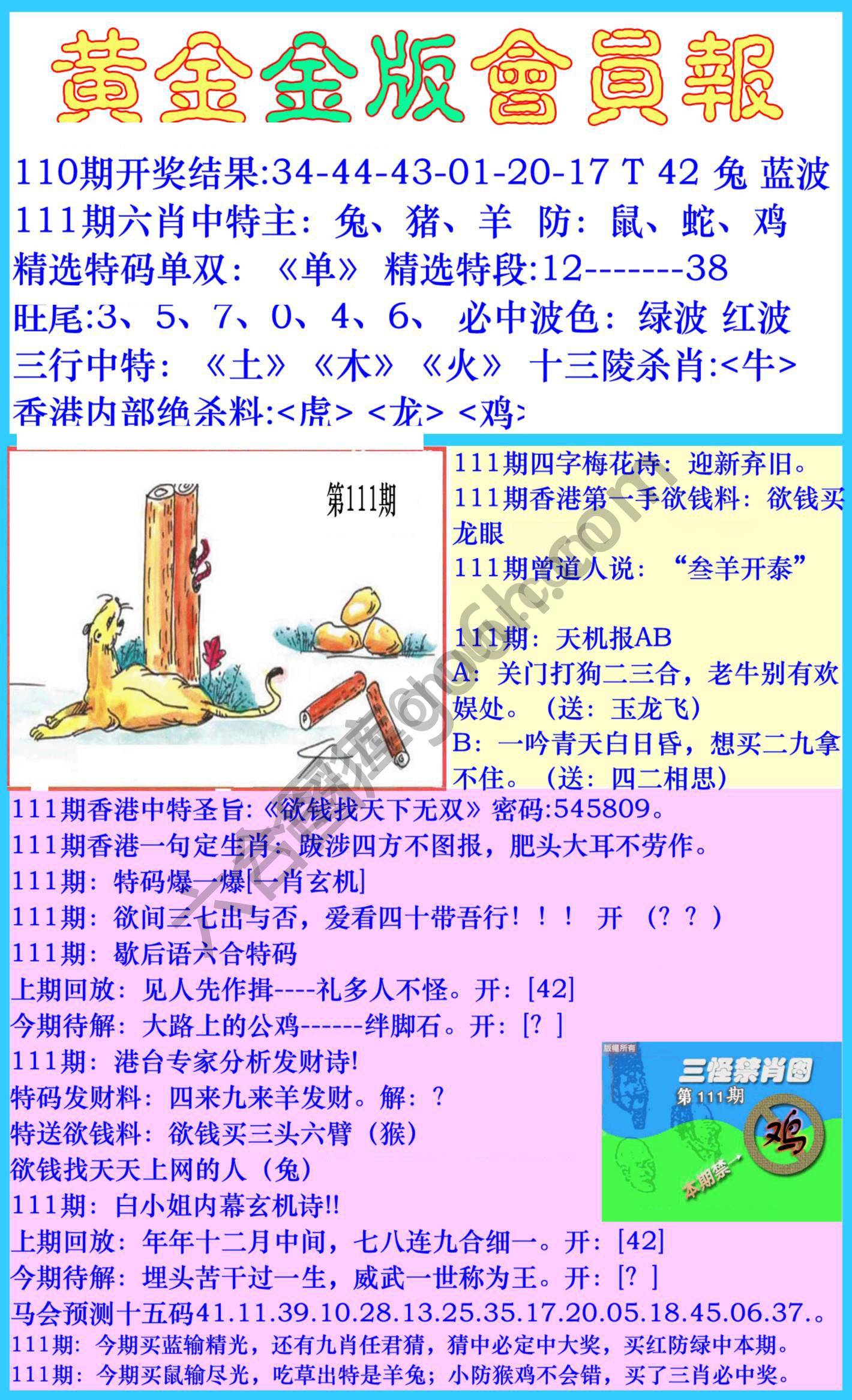 黄金金版会员报