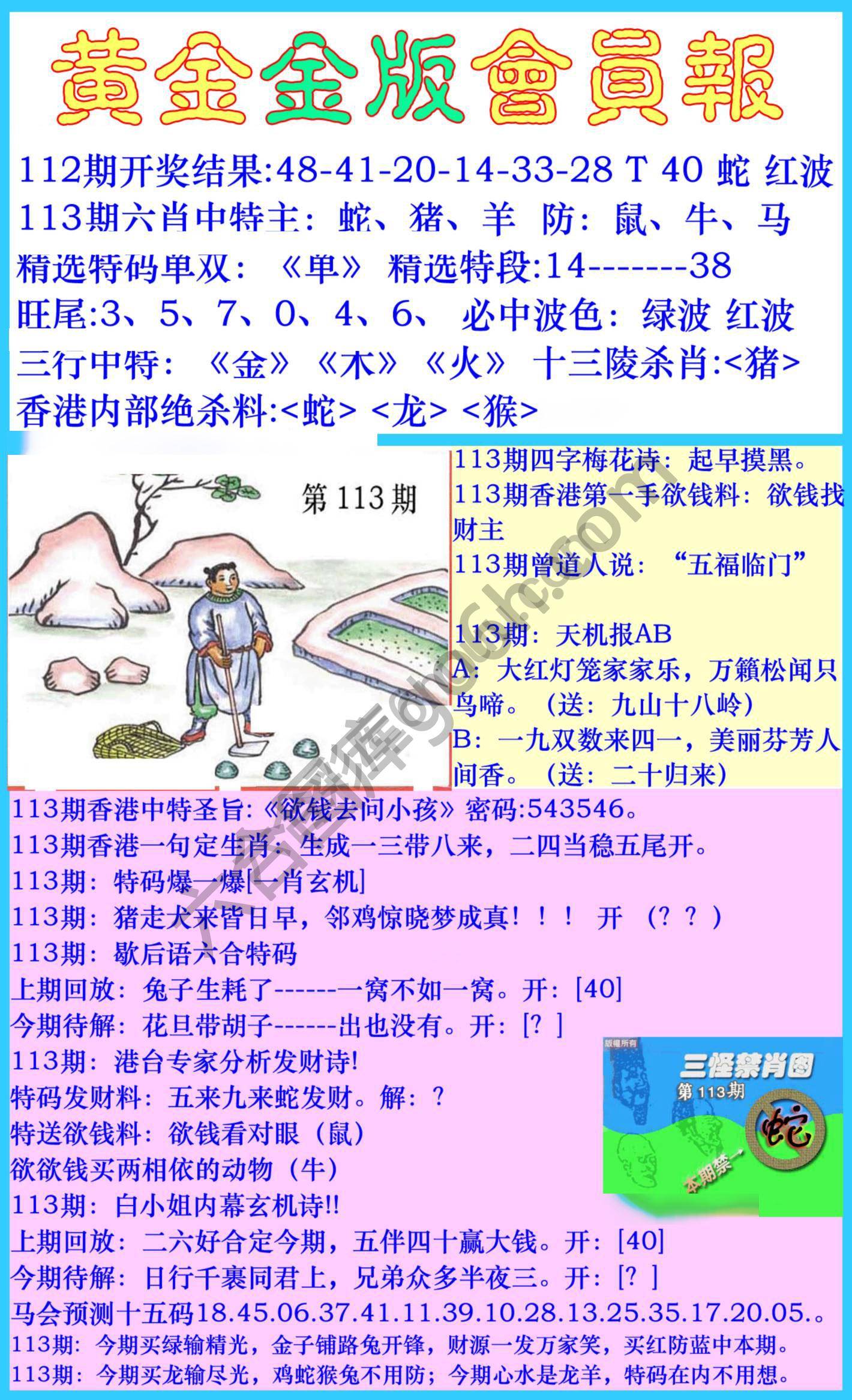 黄金金版会员报