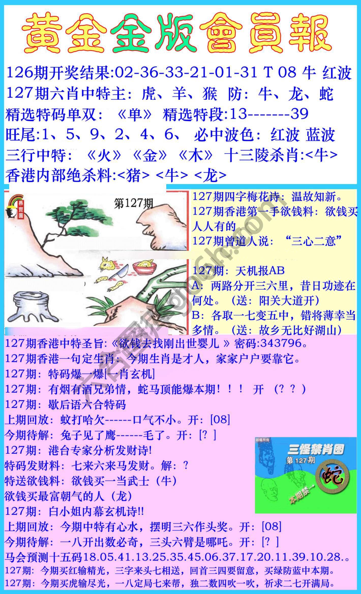 黄金金版会员报