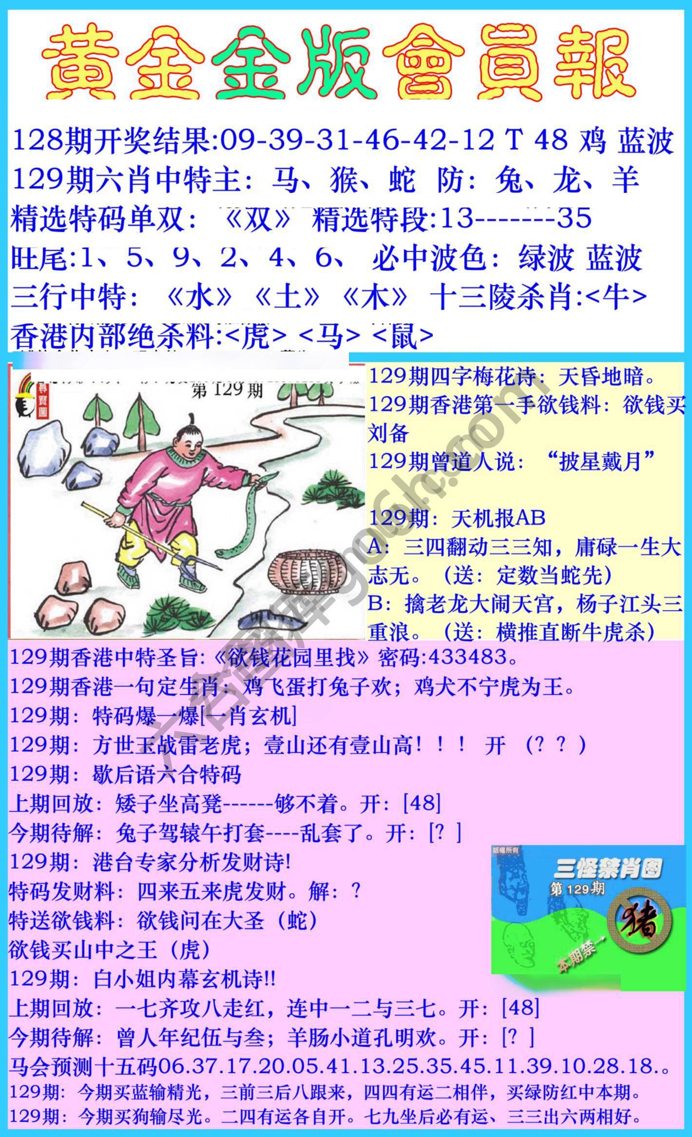 黄金金版会员报