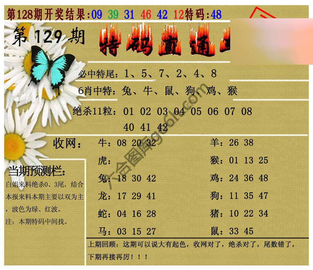 特码直通车
