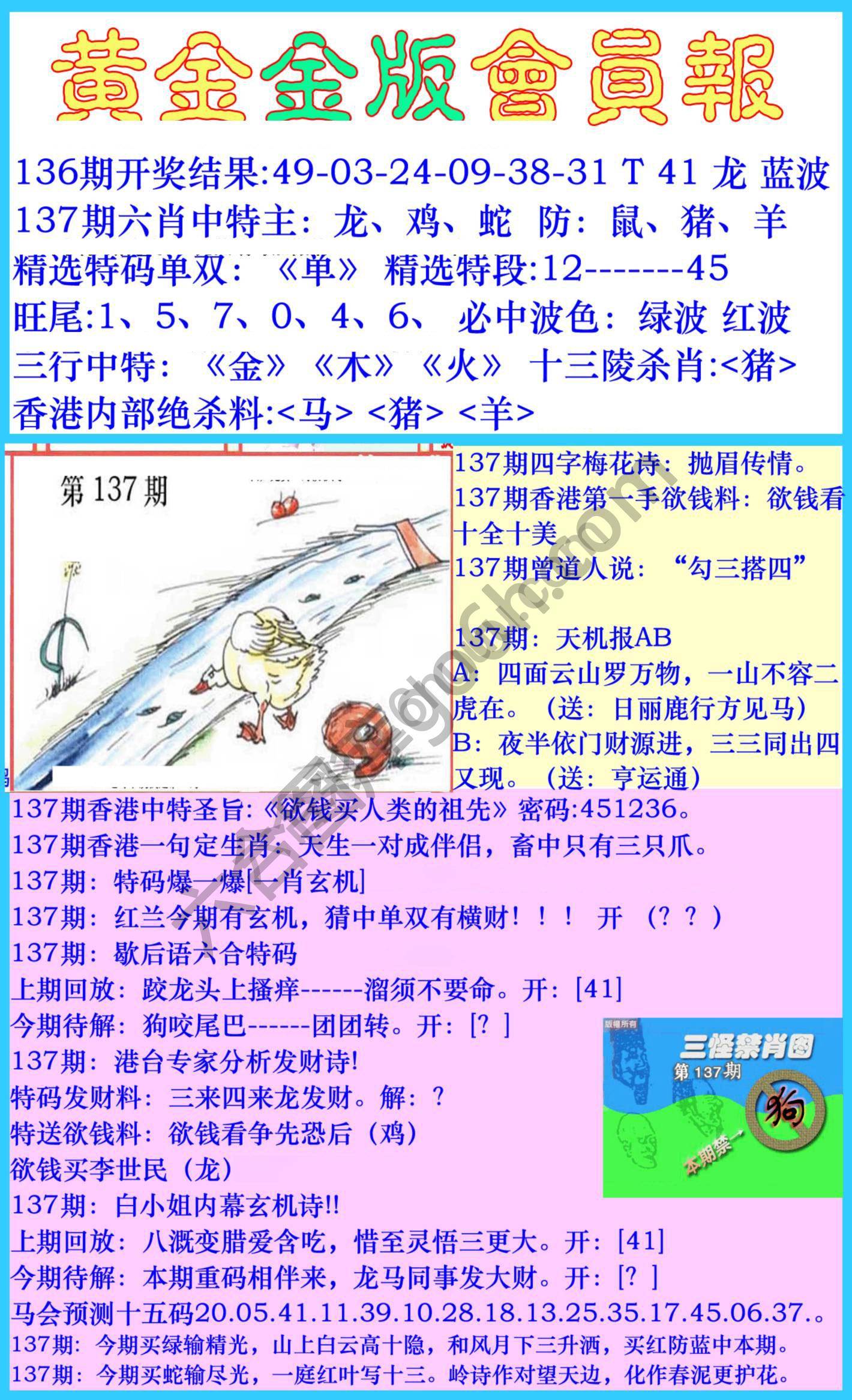 黄金金版会员报