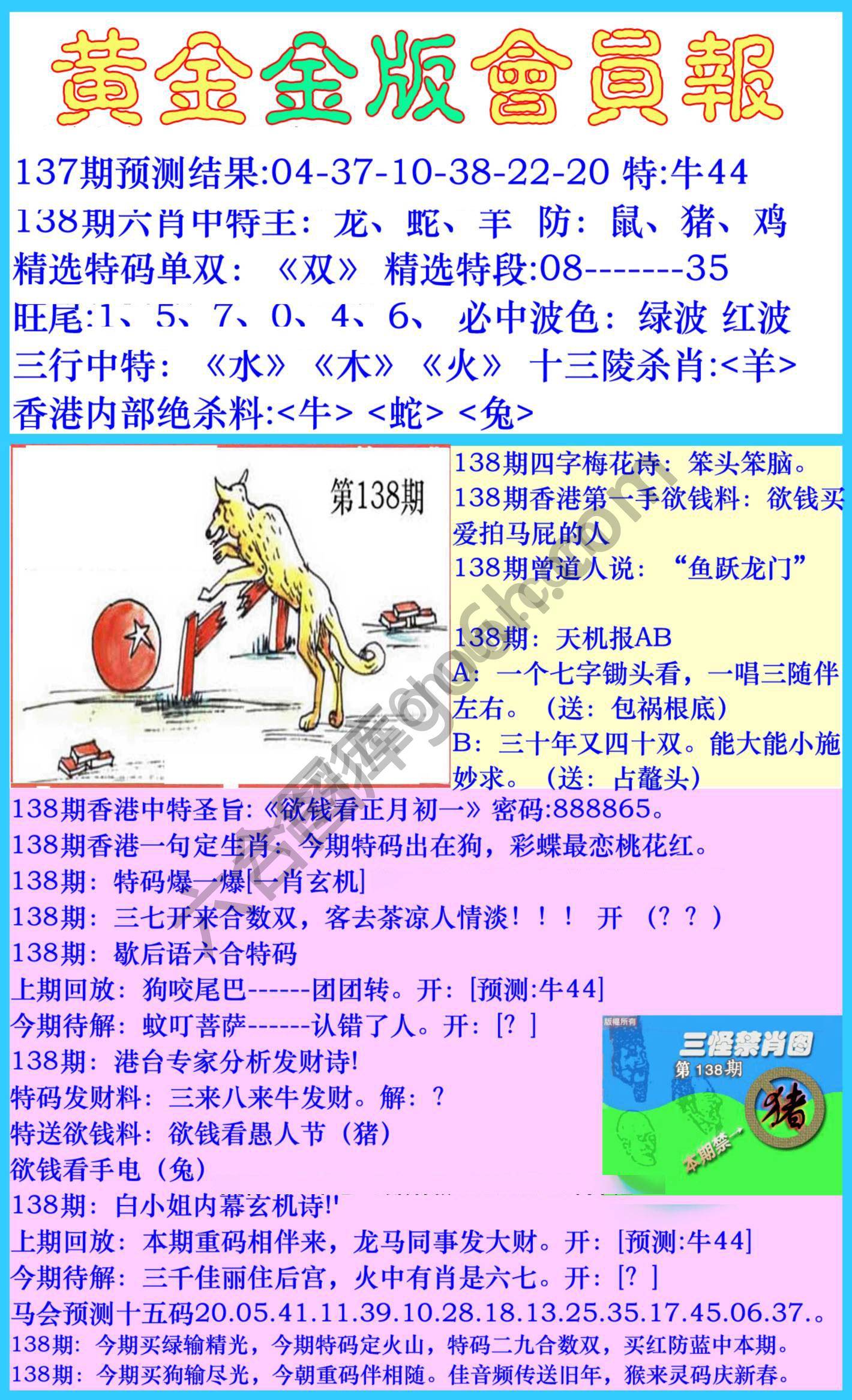 黄金金版会员报