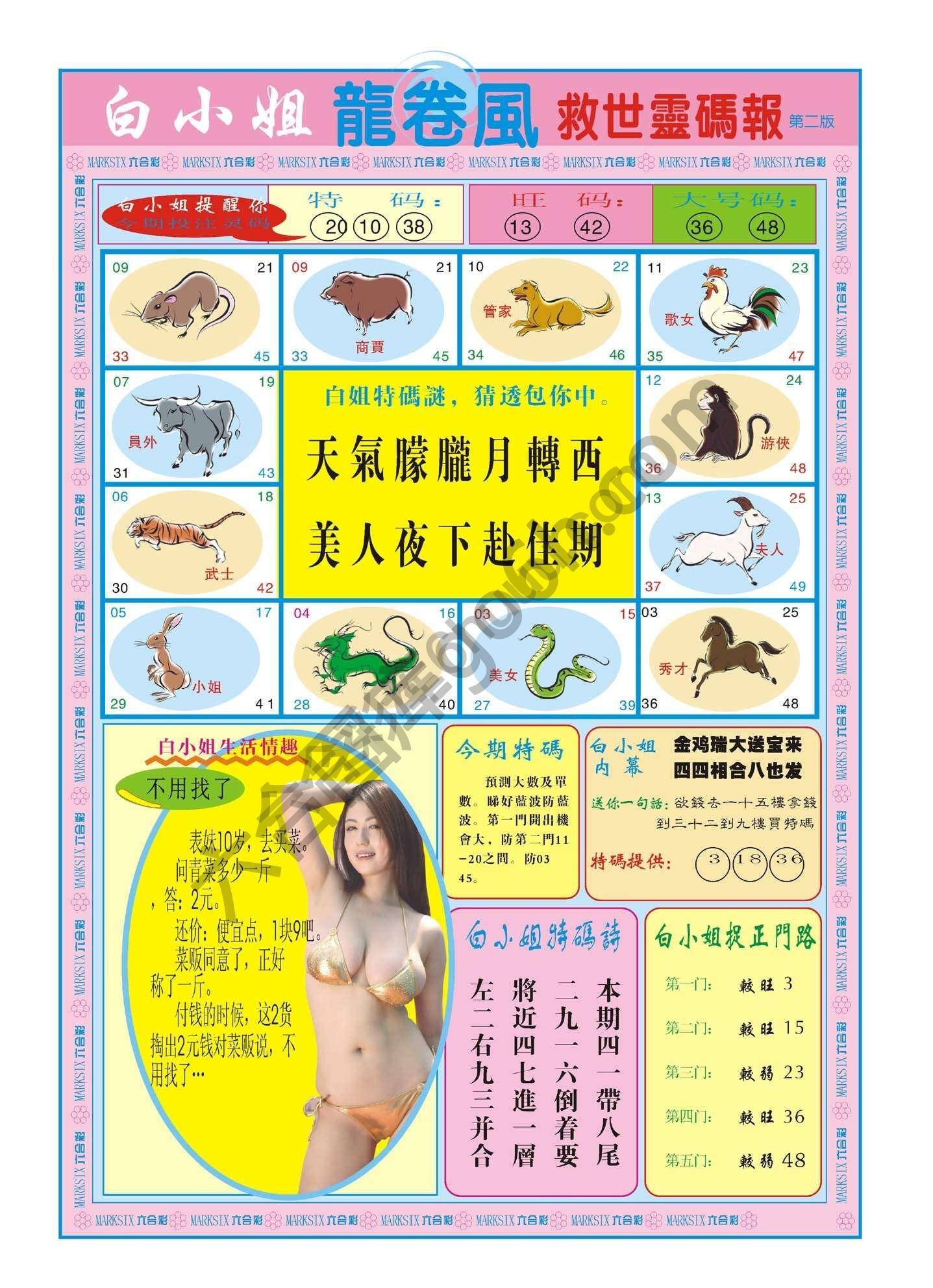 白小姐龙卷风