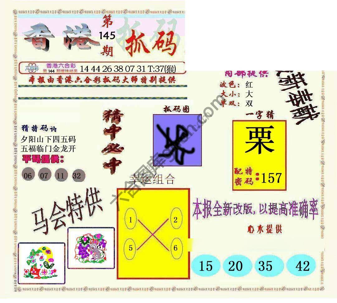 新抓码王