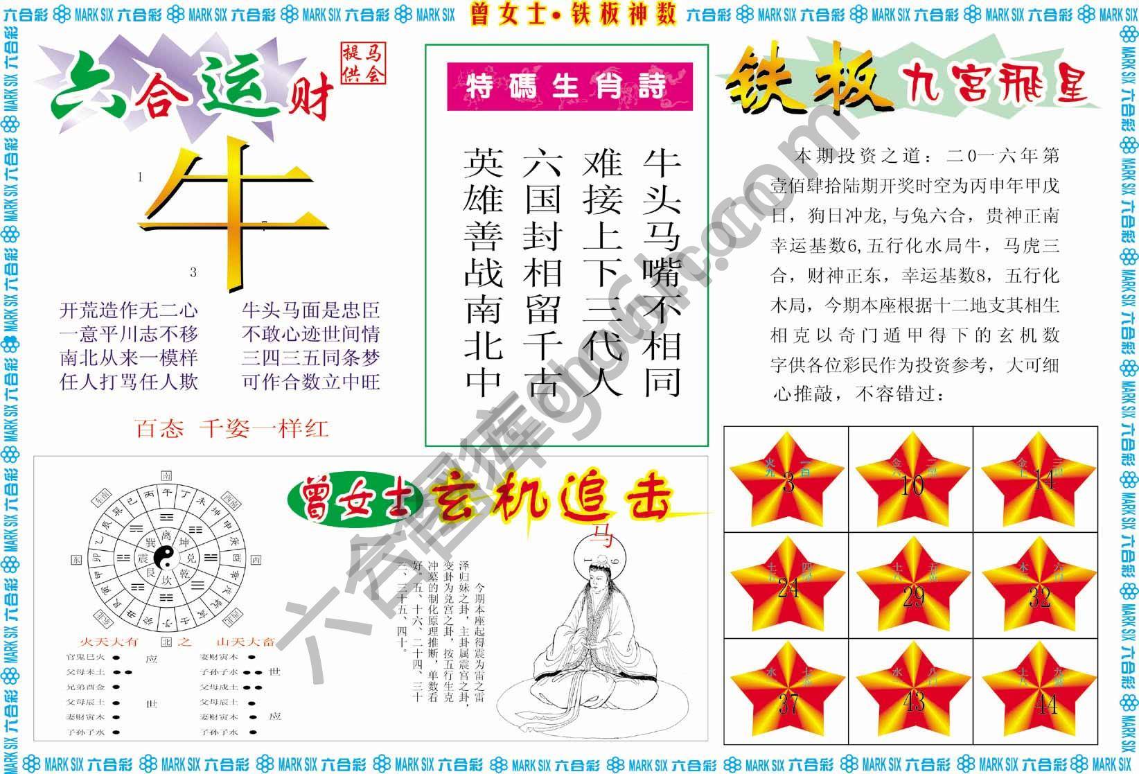 曾女士铁板神数