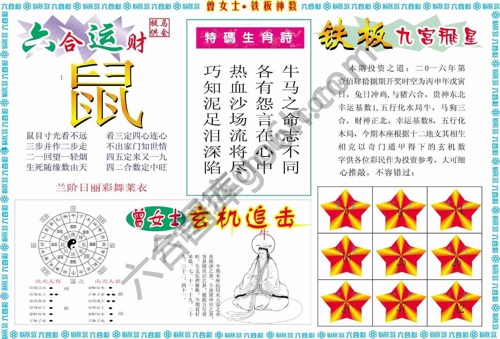 曾女士铁板神数