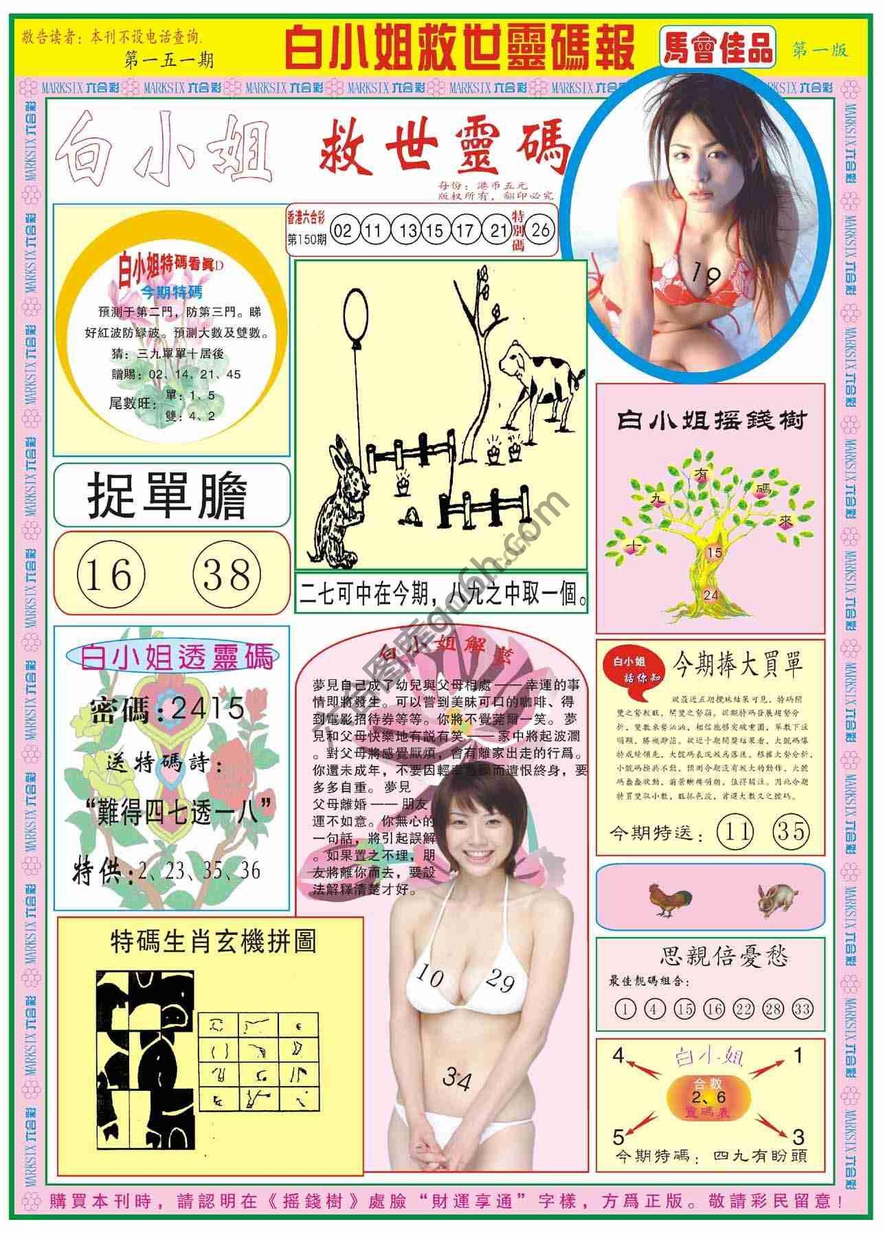 白小姐救世灵码报