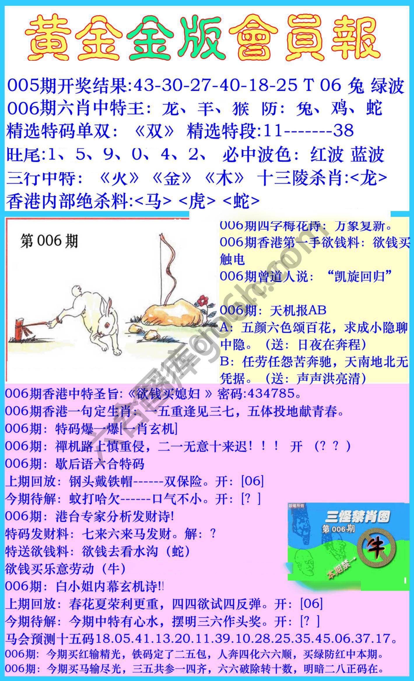 黄金金版会员报