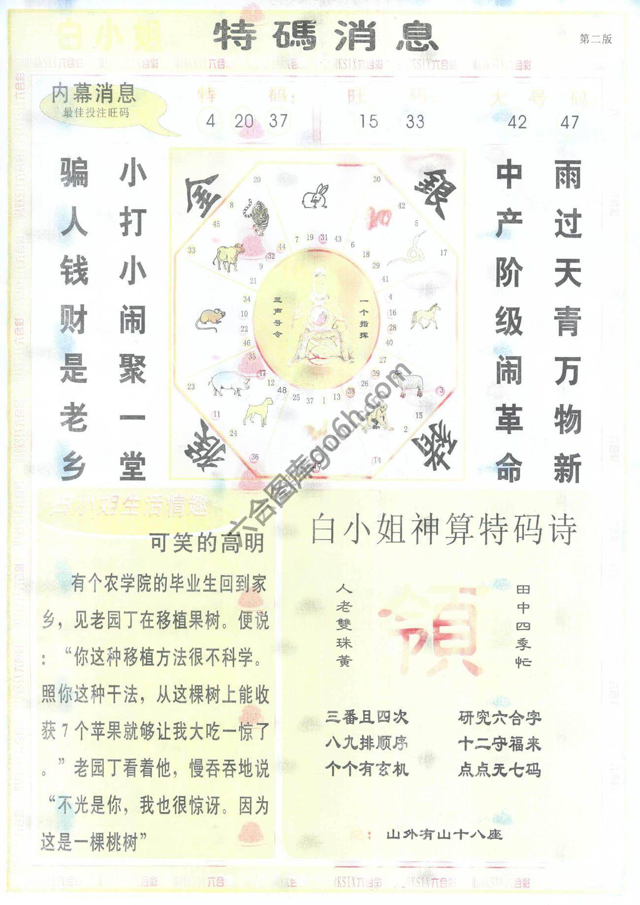 白小姐特码消息