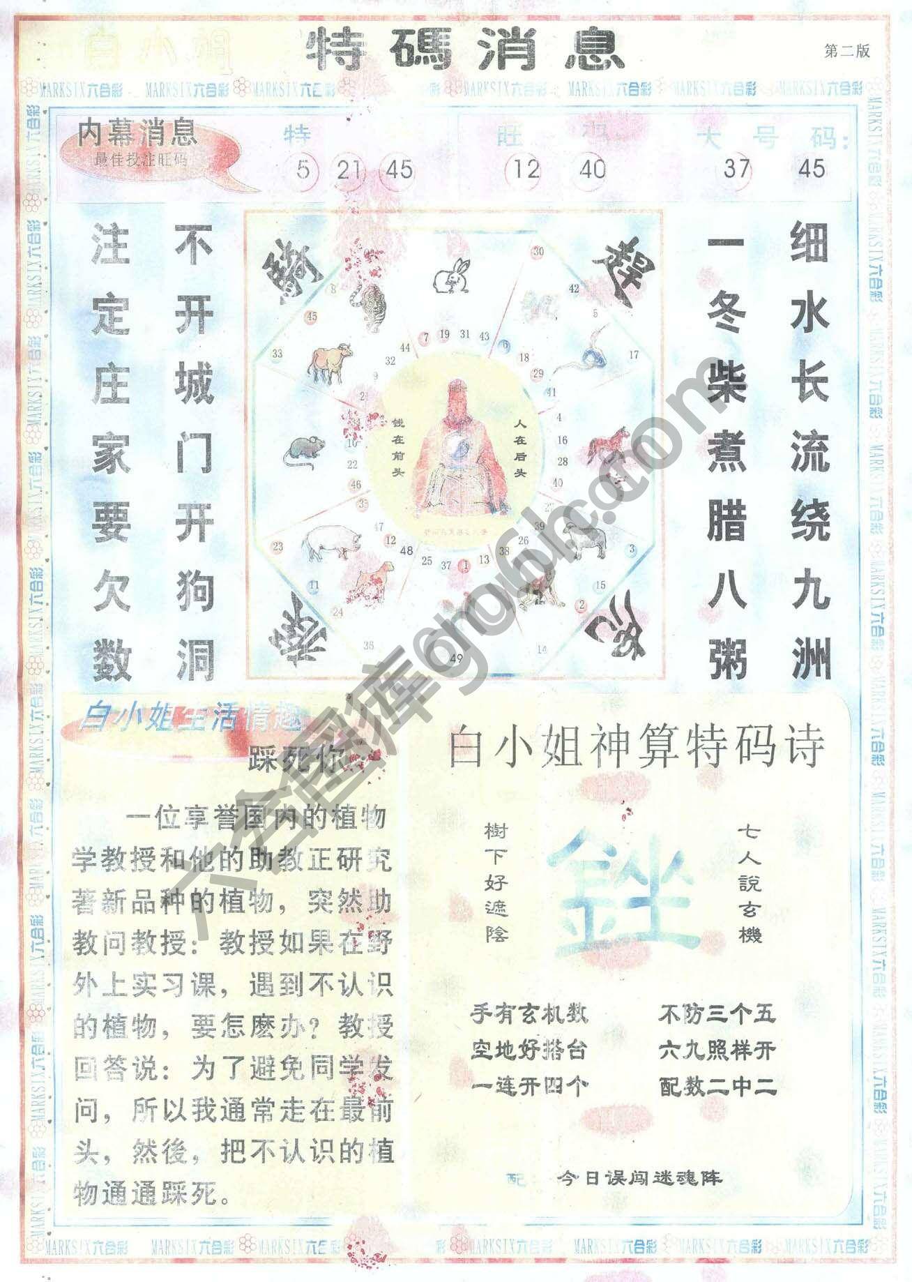 白小姐特码消息