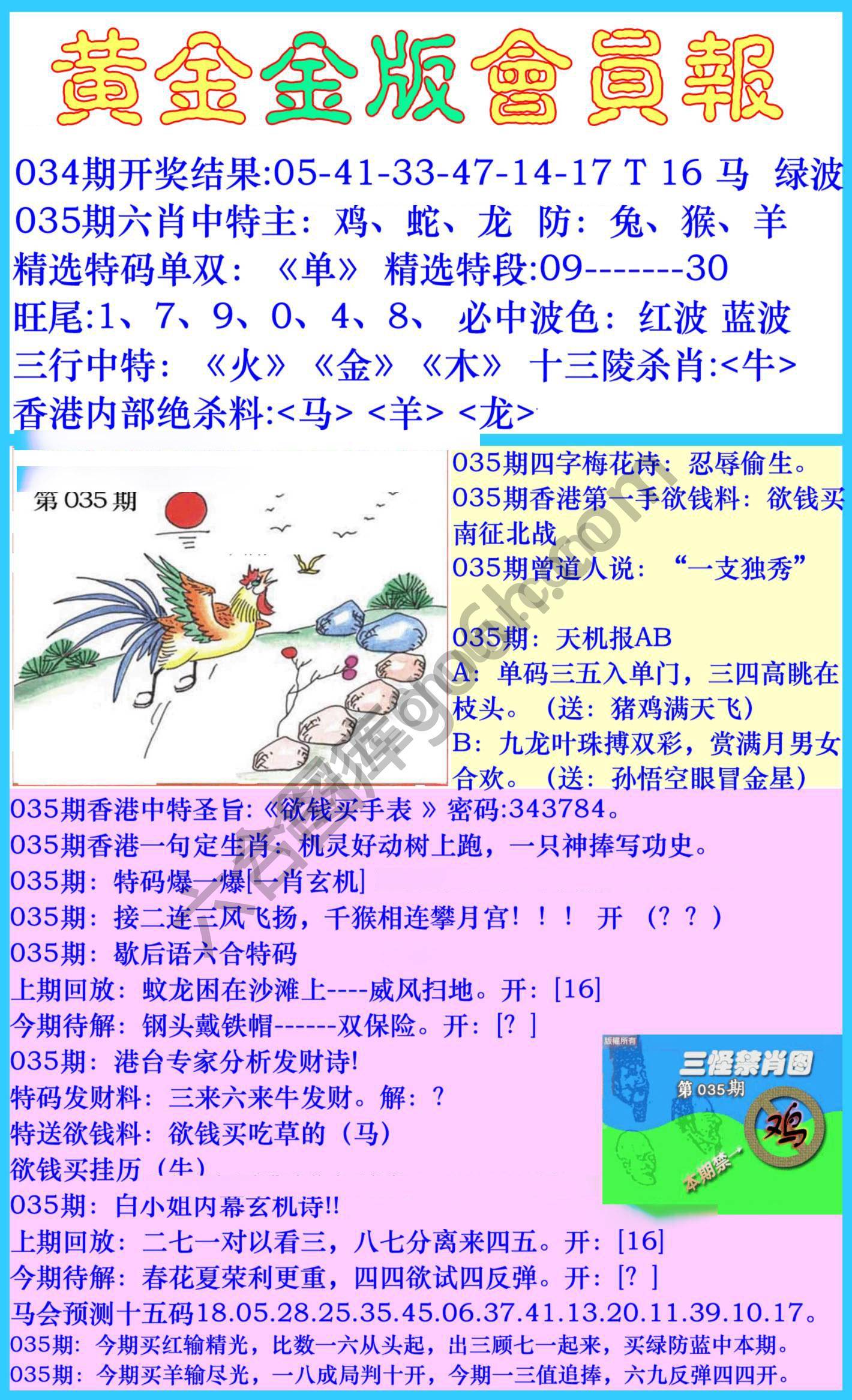 黄金金版会员报