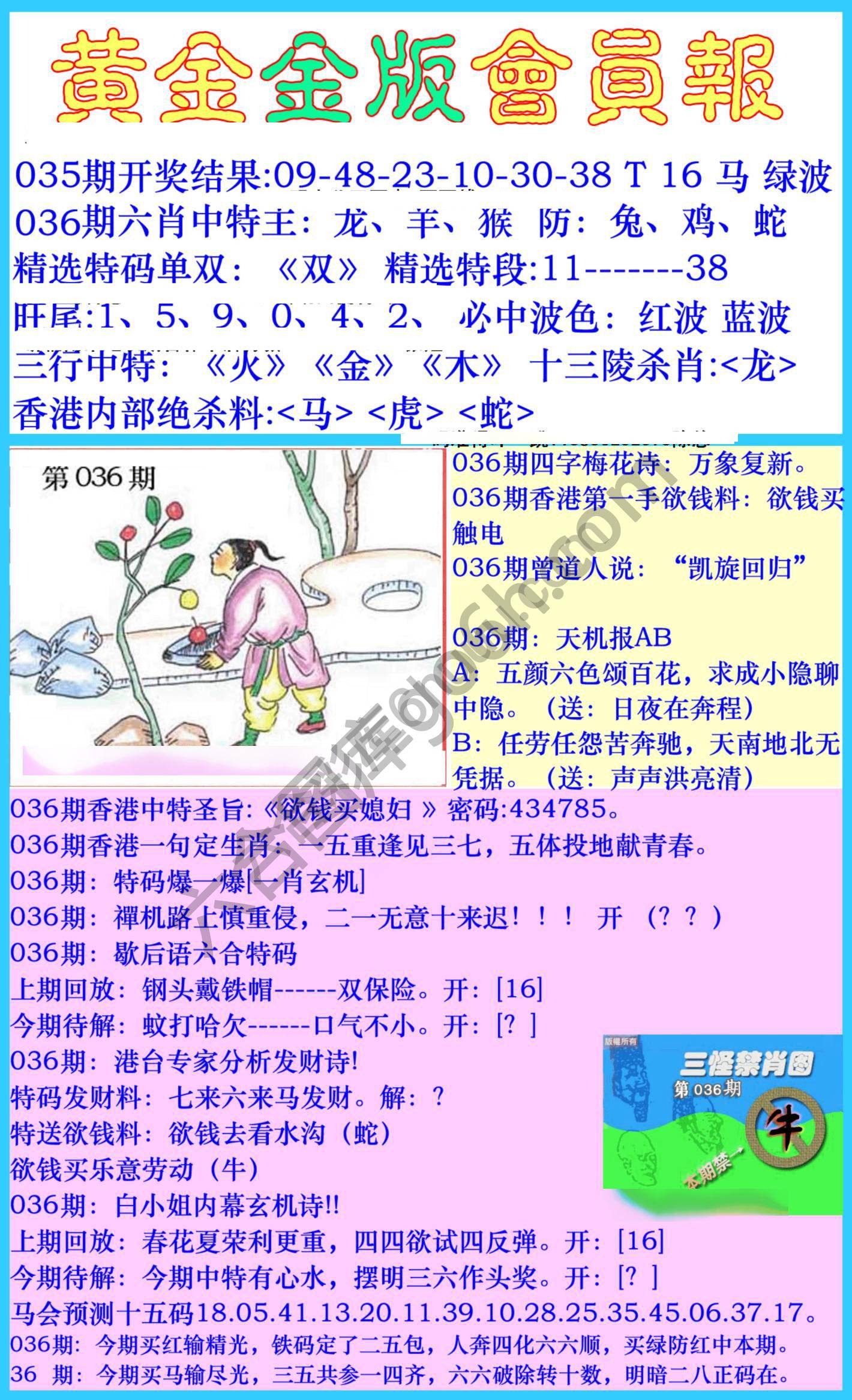 黄金金版会员报