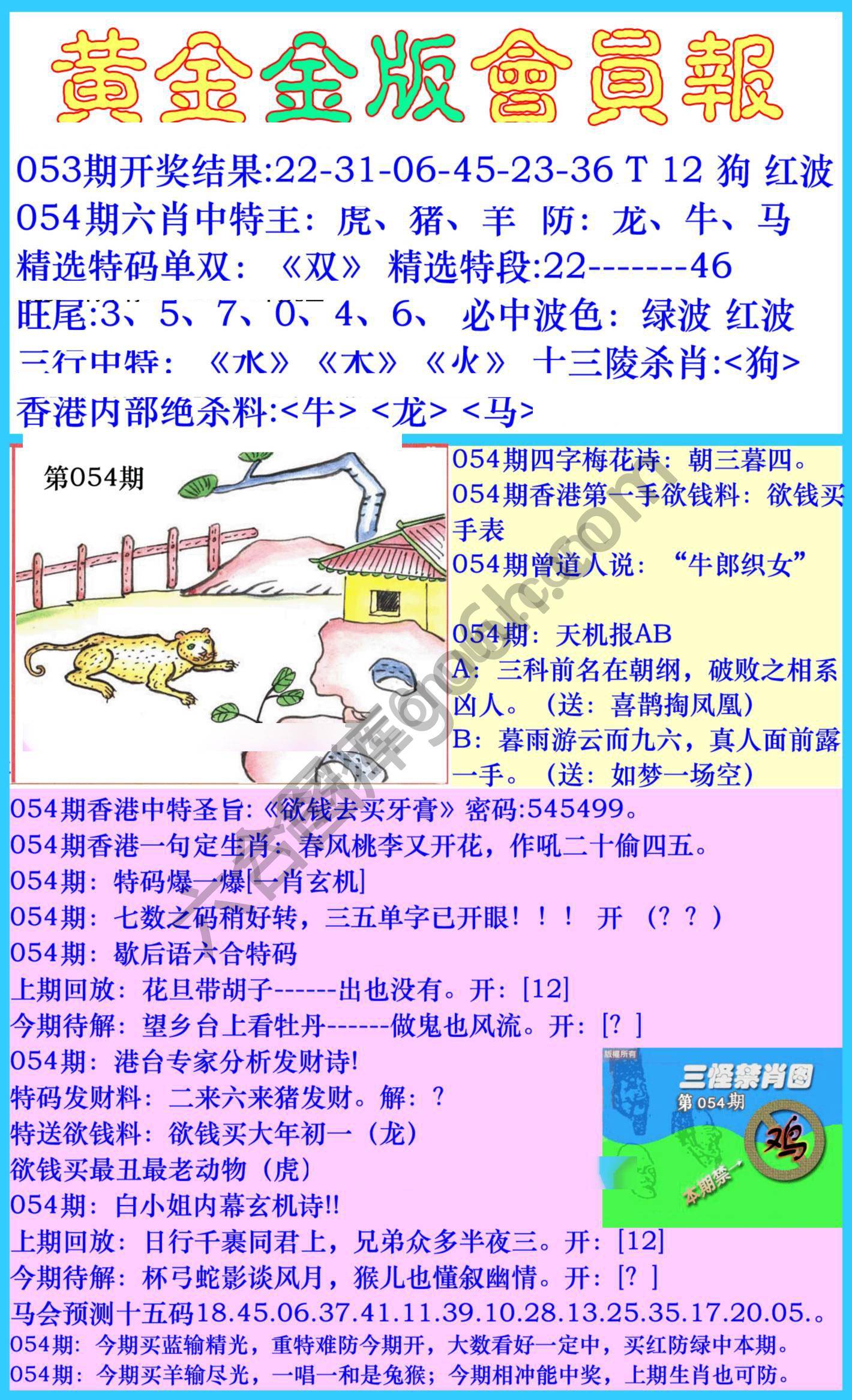 黄金金版会员报