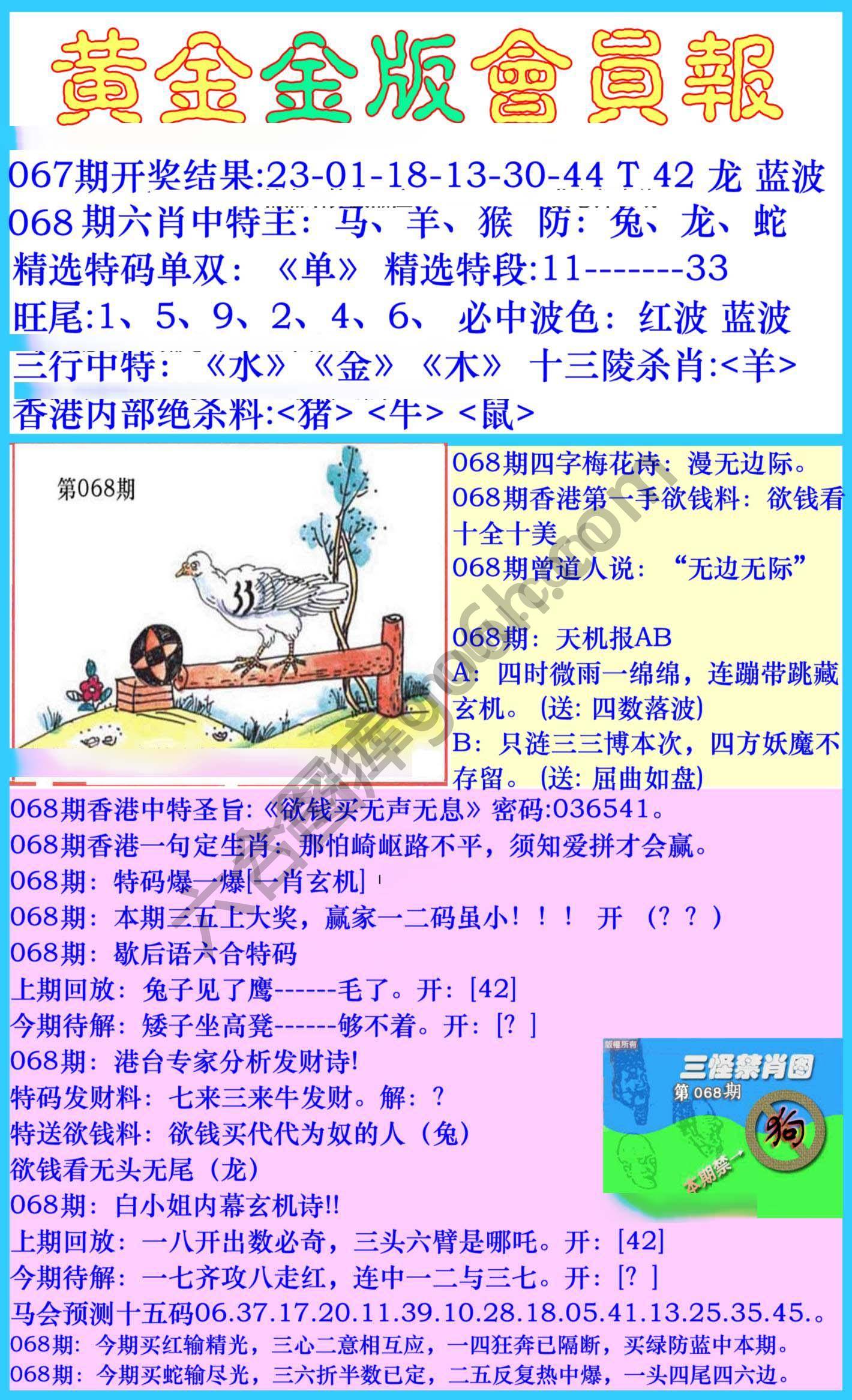 黄金金版会员报