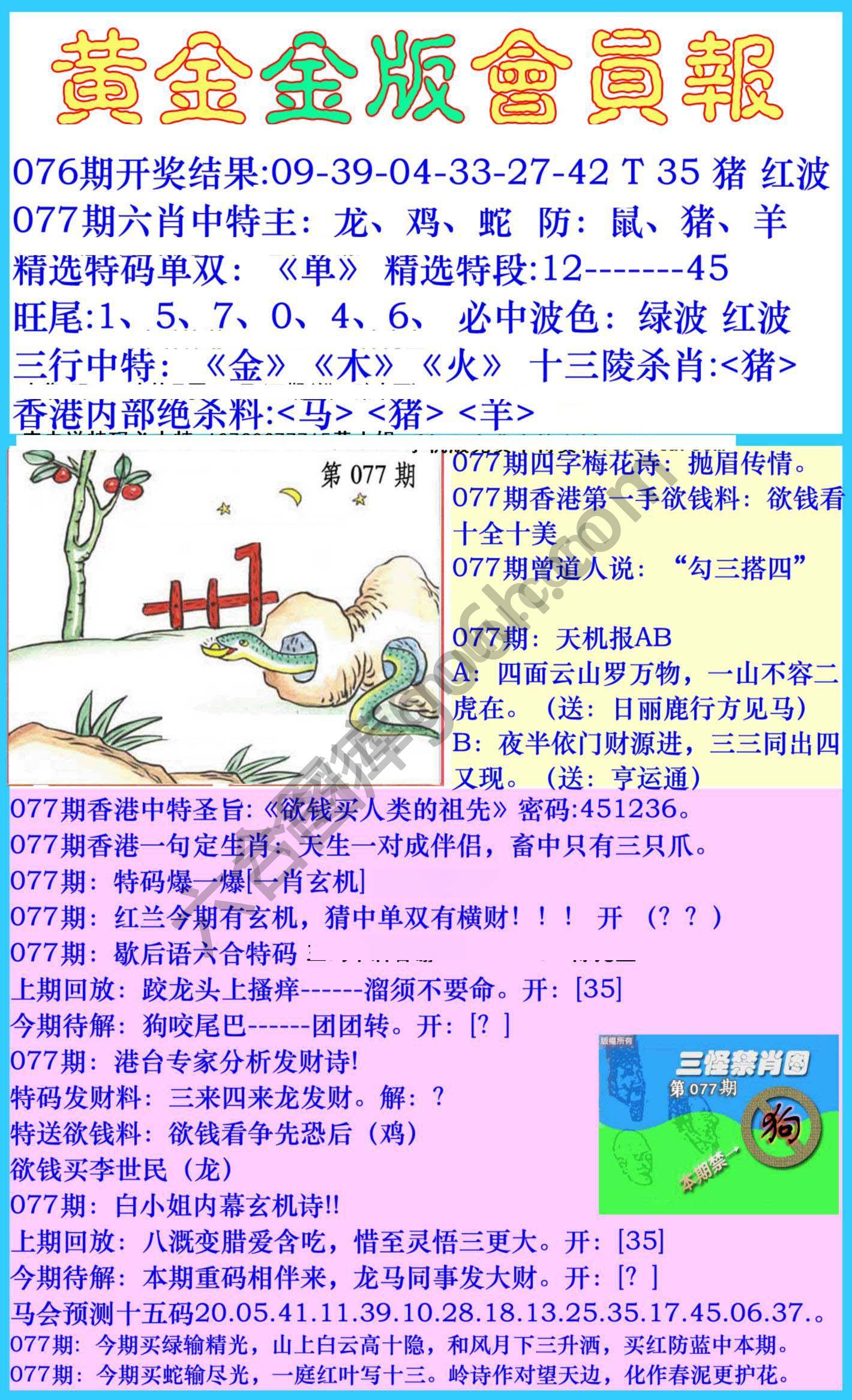 黄金金版会员报