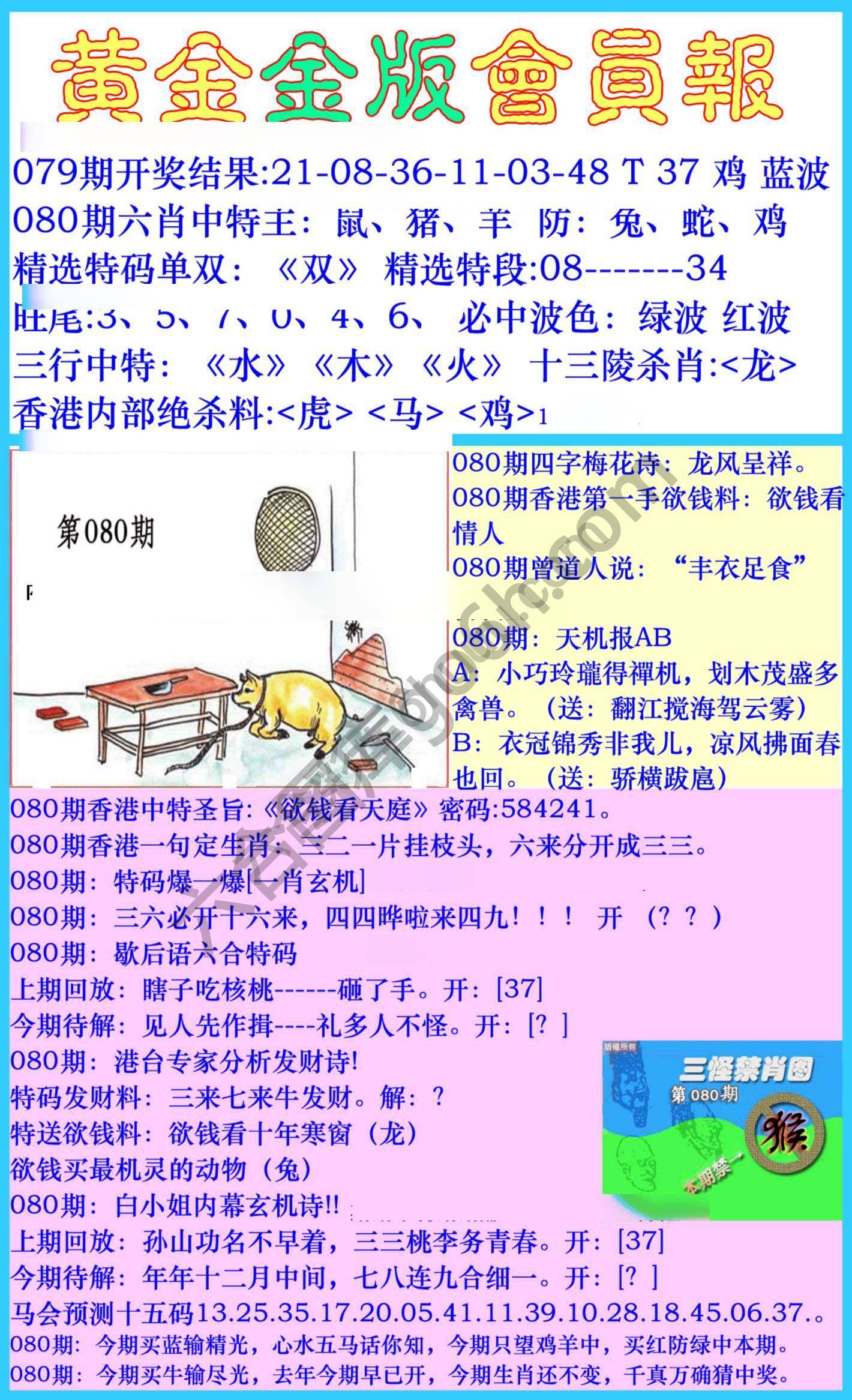 黄金金版会员报