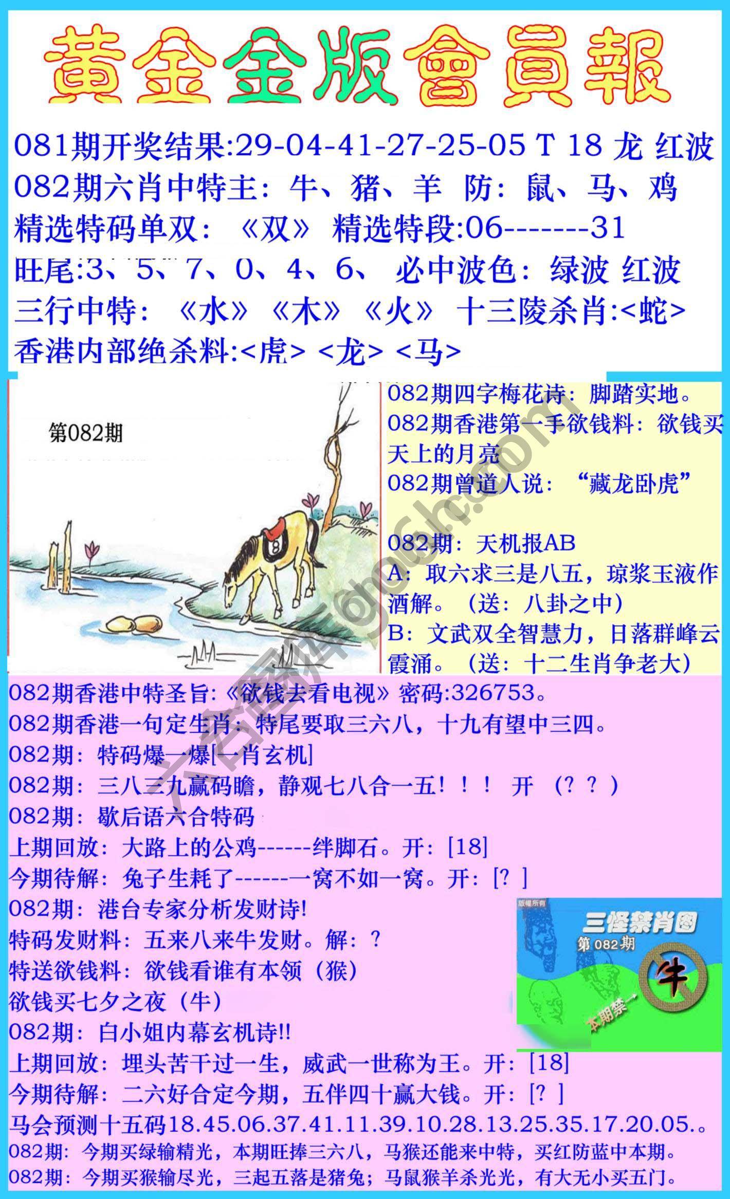 黄金金版会员报