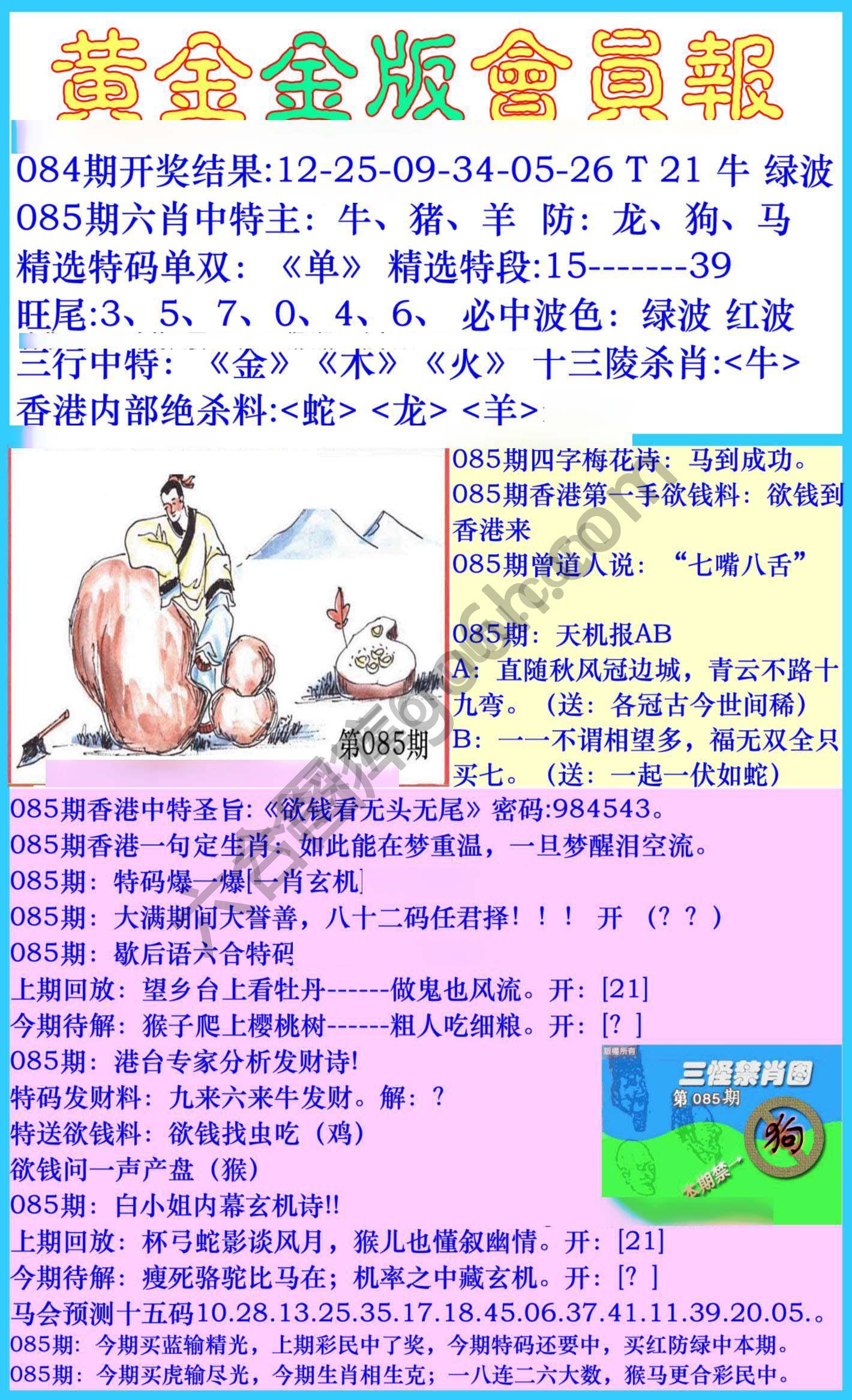 黄金金版会员报