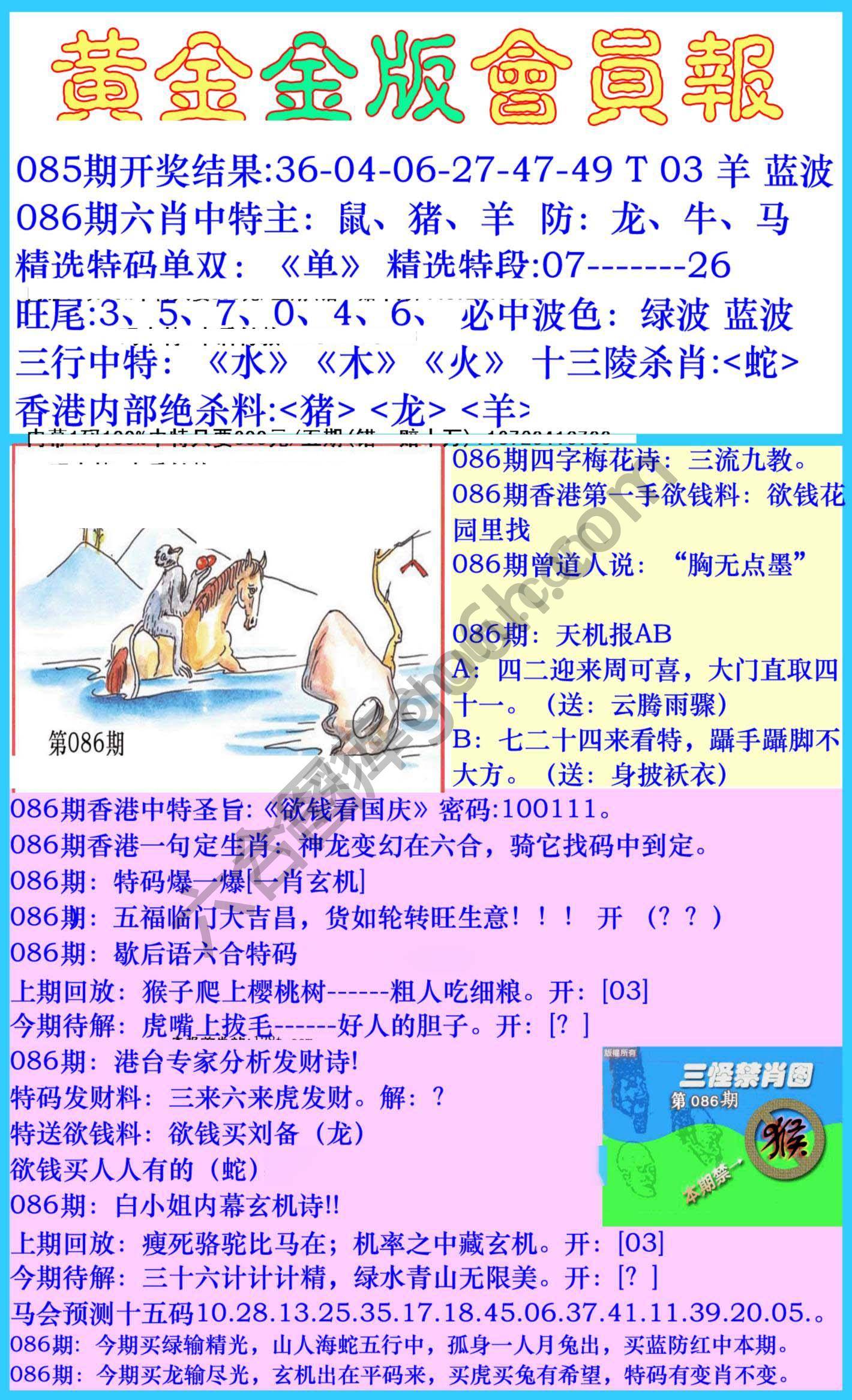 黄金金版会员报