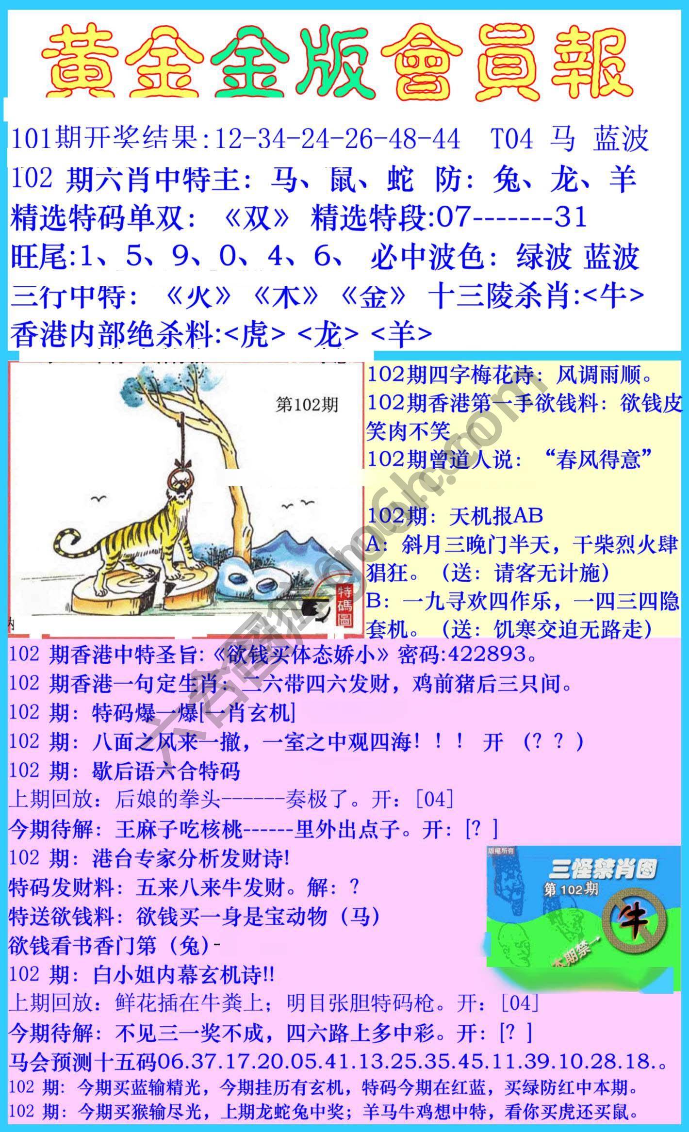 黄金金版会员报