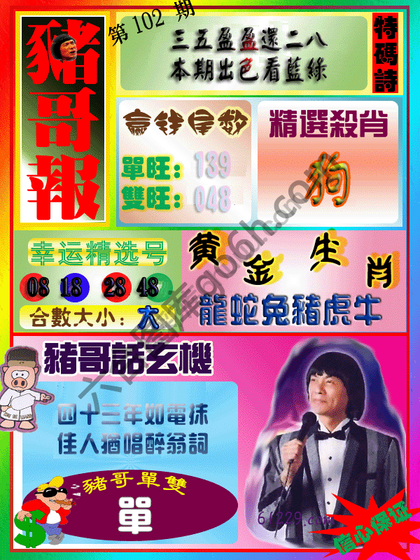 猪哥报