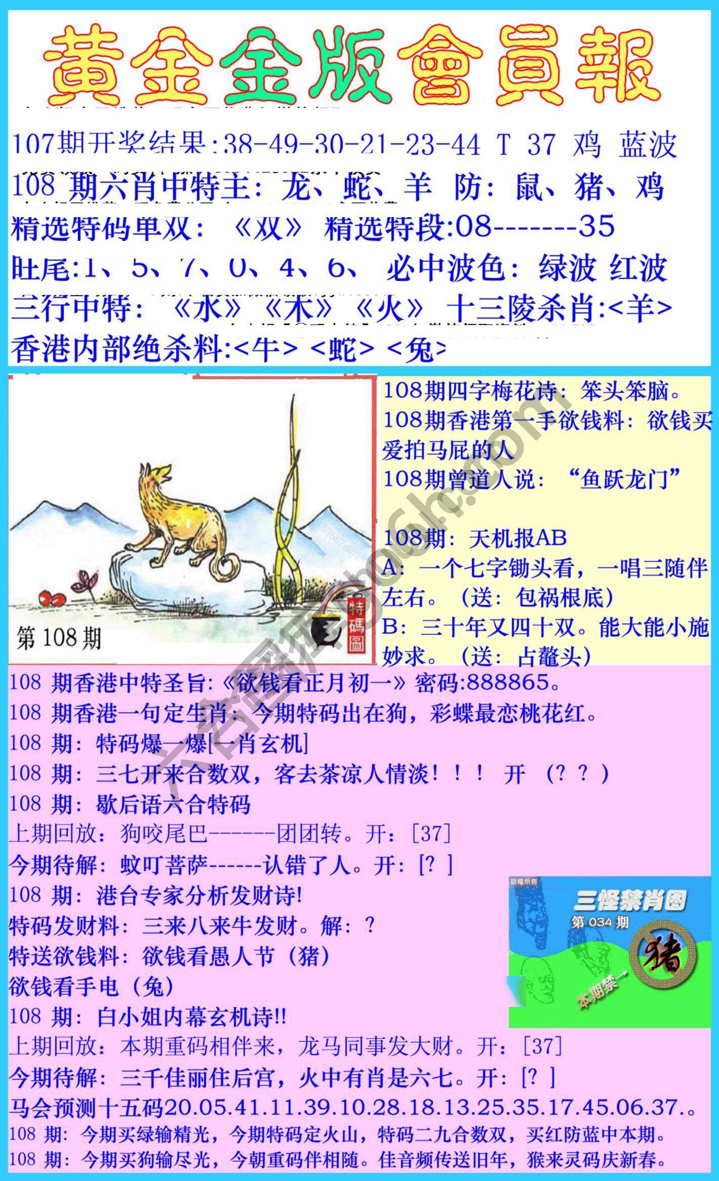 黄金金版会员报