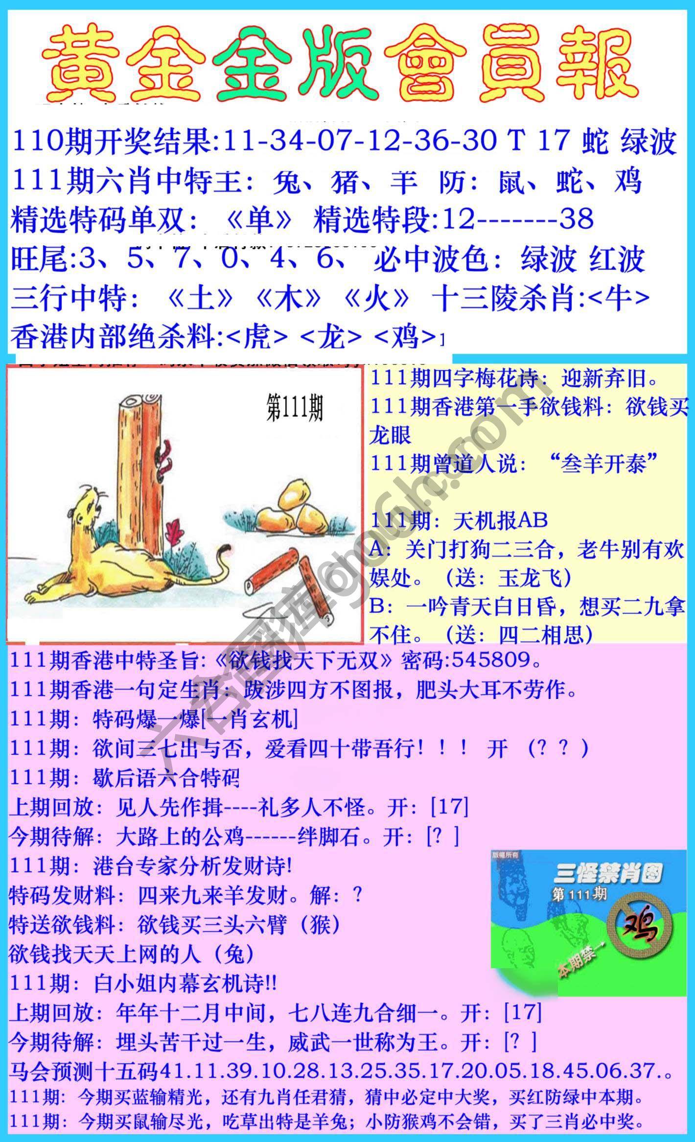 黄金金版会员报