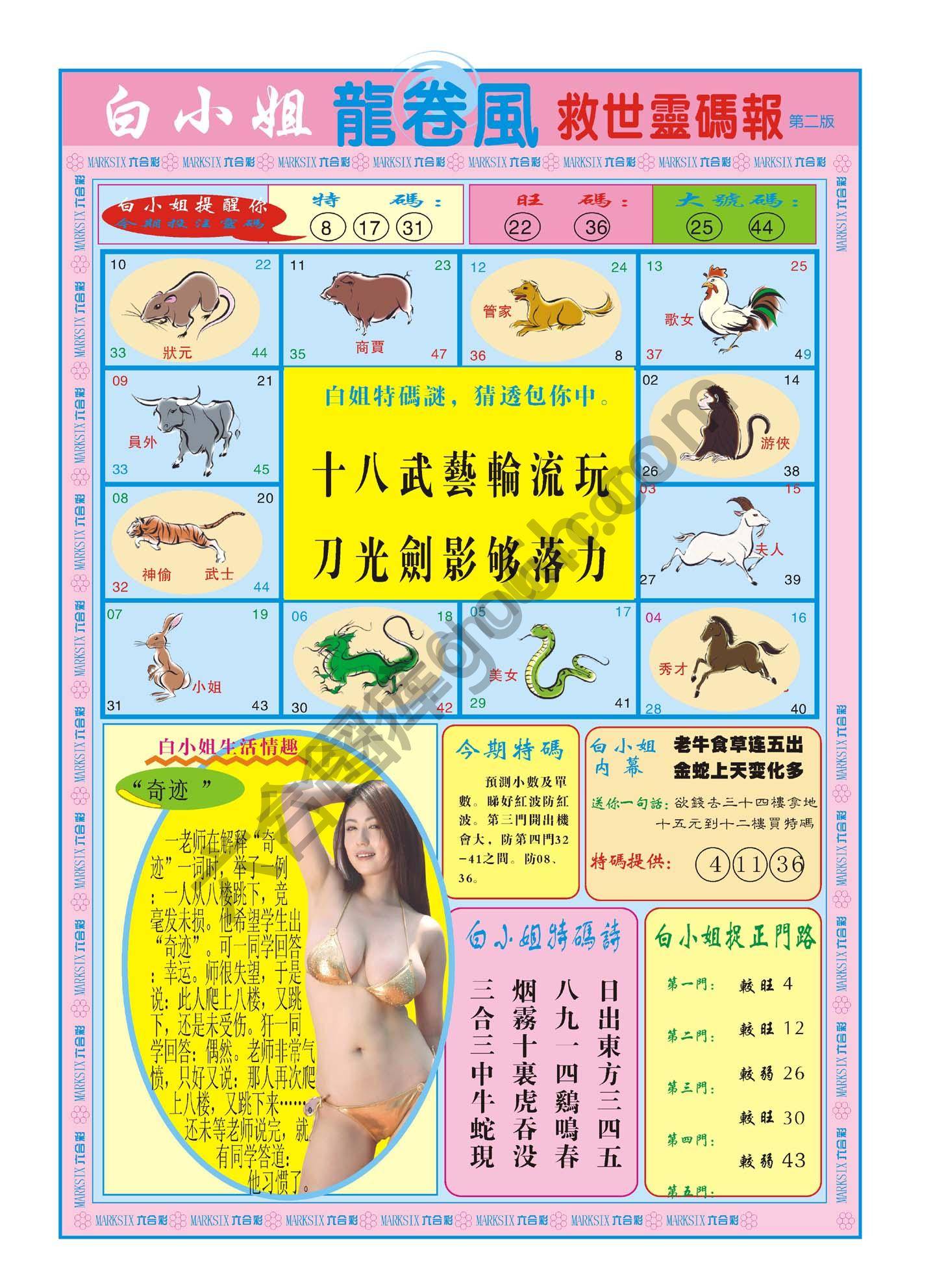 白小姐龙卷风